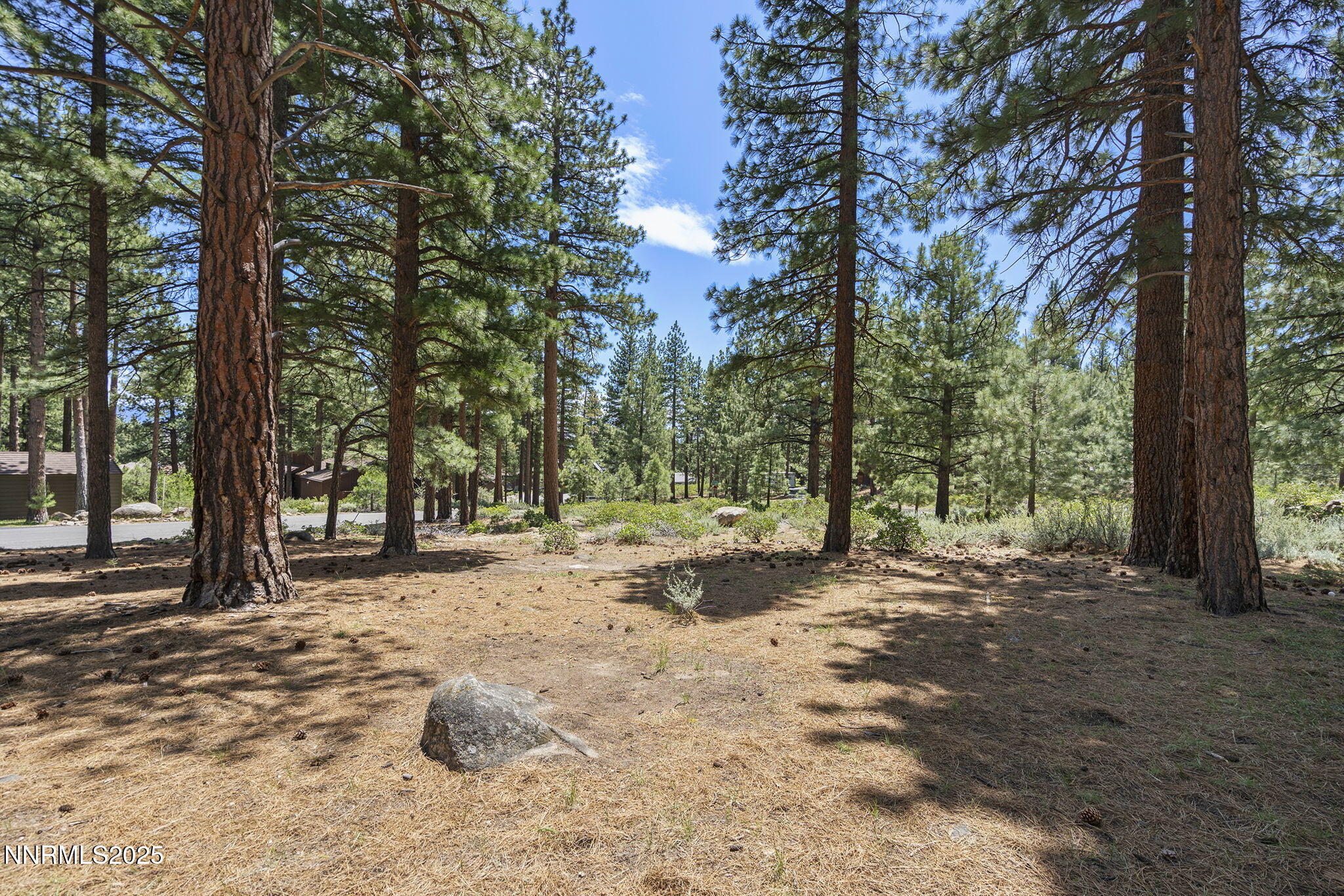 8-web-or-mls-_DSC0304