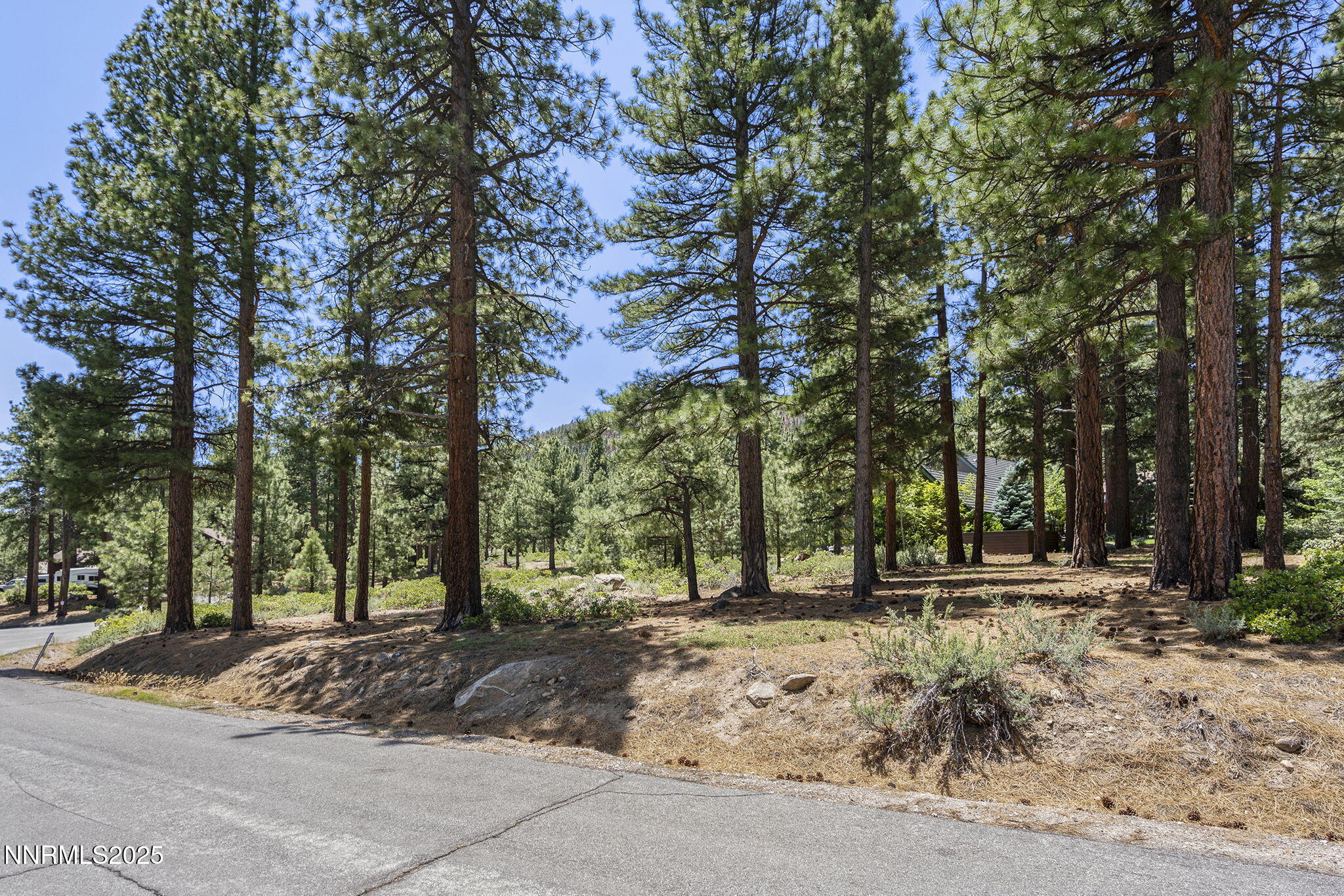 14-web-or-mls-_DSC0349