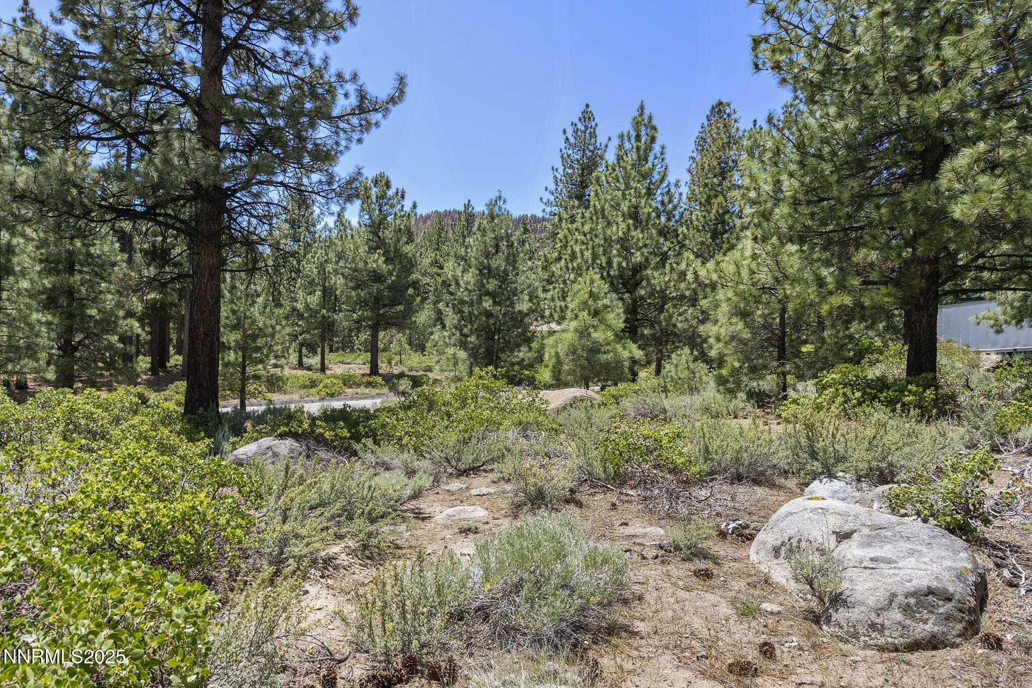 10-web-or-mls-_DSC0314