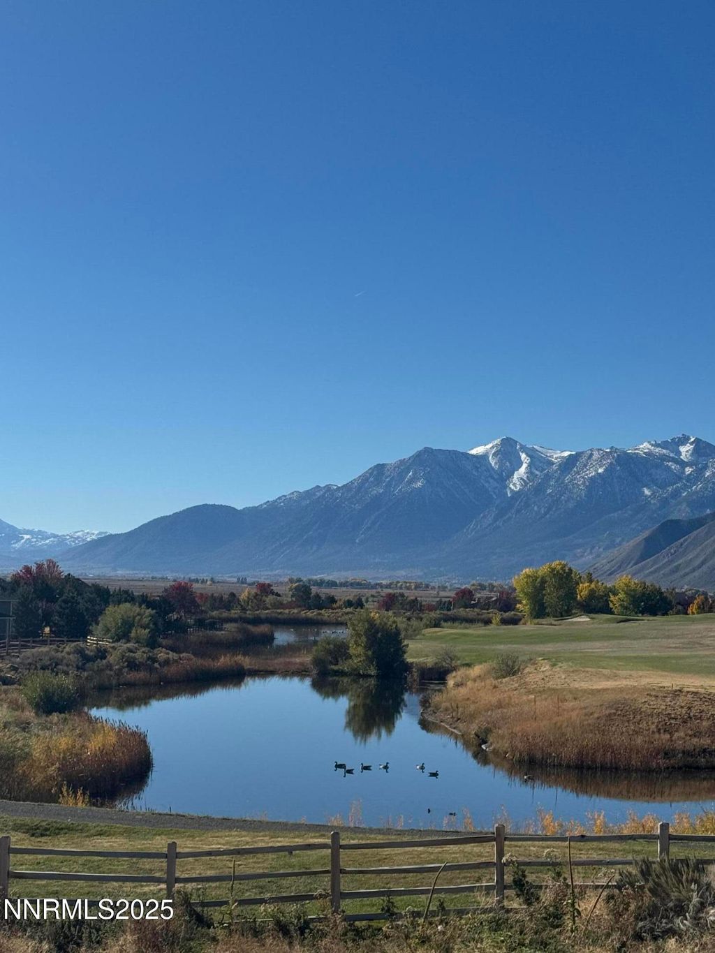 Photo of 517 Cottontail Court, Genoa, NV 89411 (MLS # 250056467)