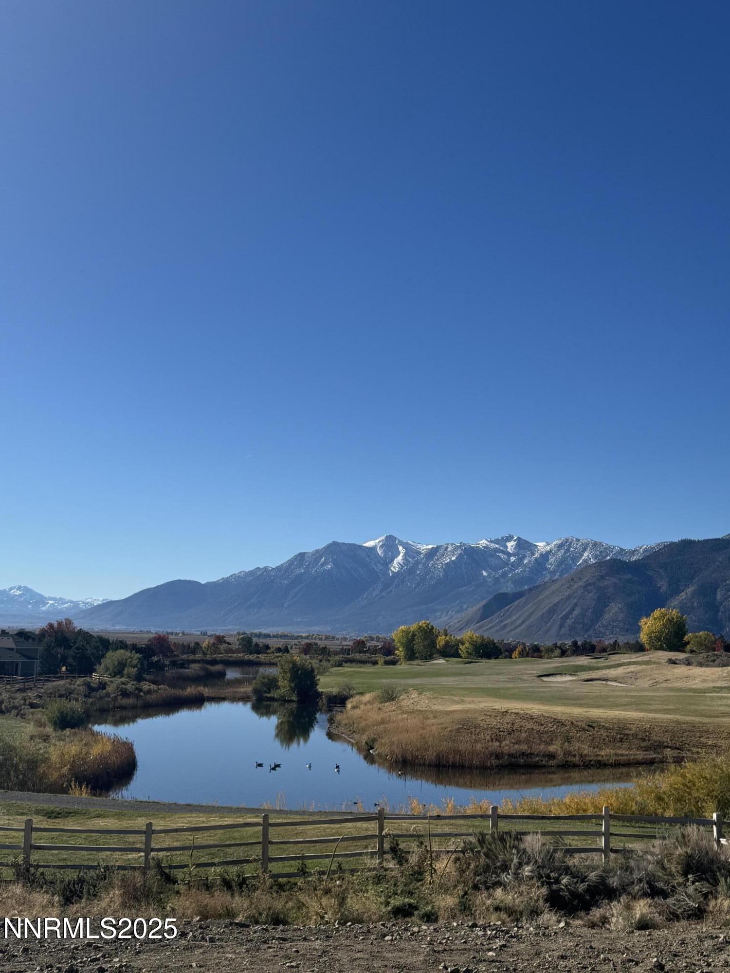 backyard fall and snow 2