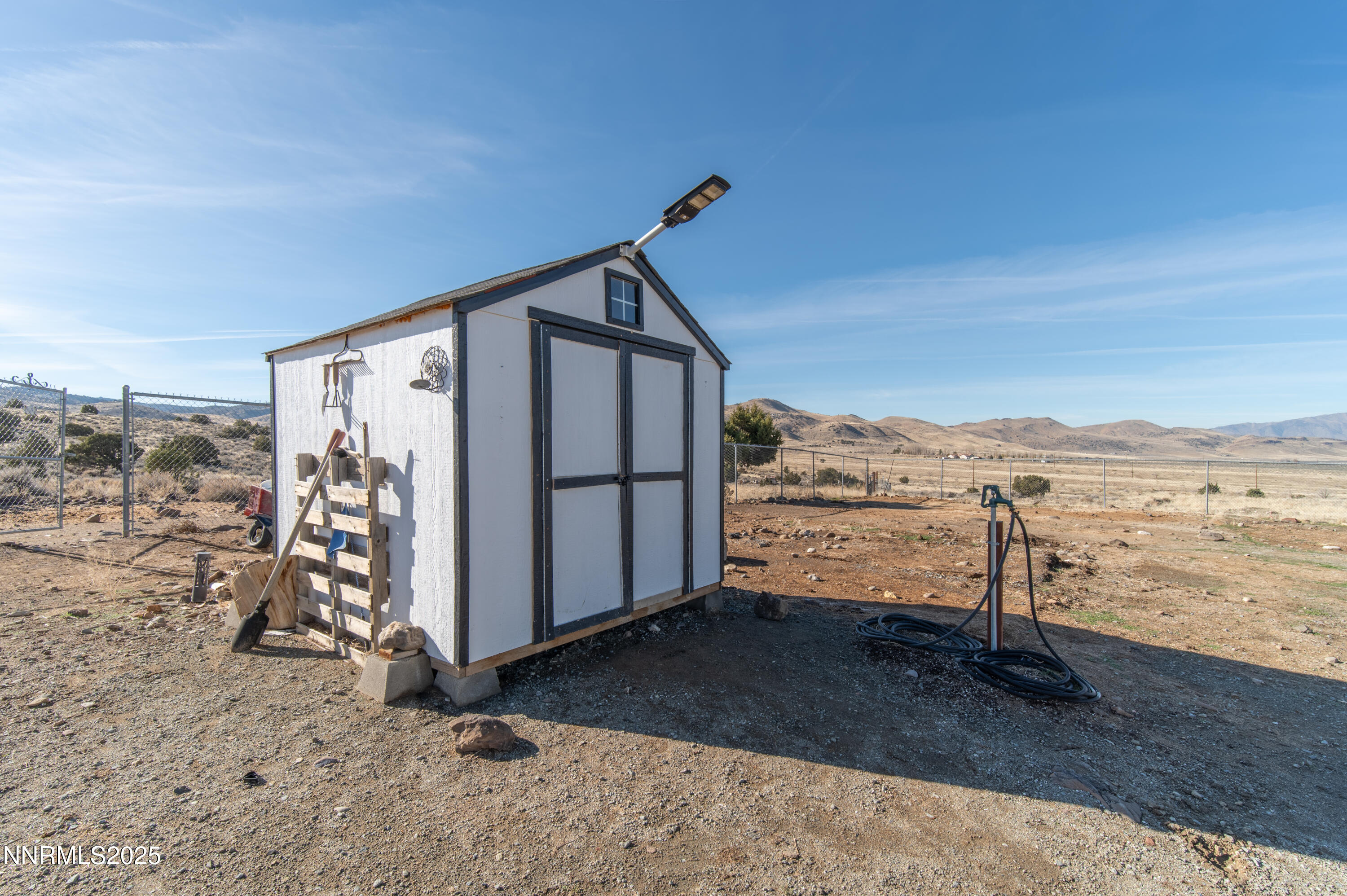 3900Morningdove(41of51)