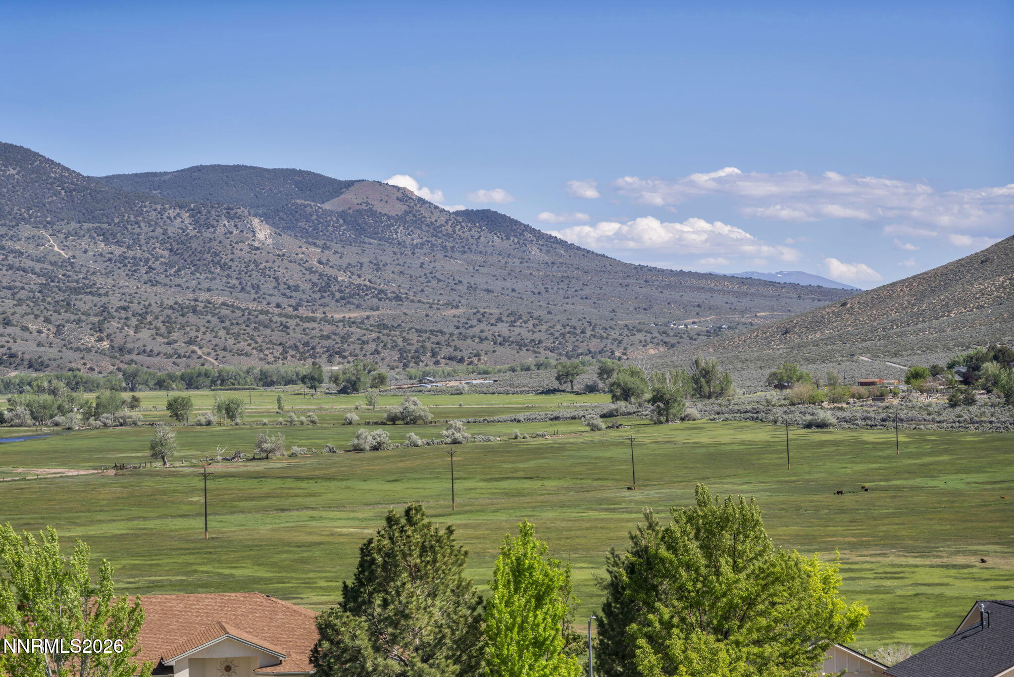 1175 Camballeria Dr, Carson City, NV, 89701, USA, 4 Bedrooms Bedrooms, ,4 BathroomsBathrooms,Residential,Active,1175 Camballeria Dr,260006261