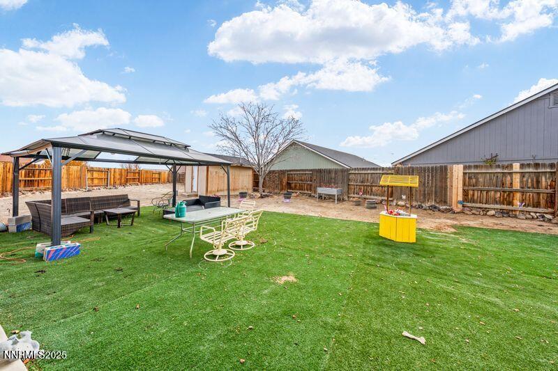 Canary - backyard grass