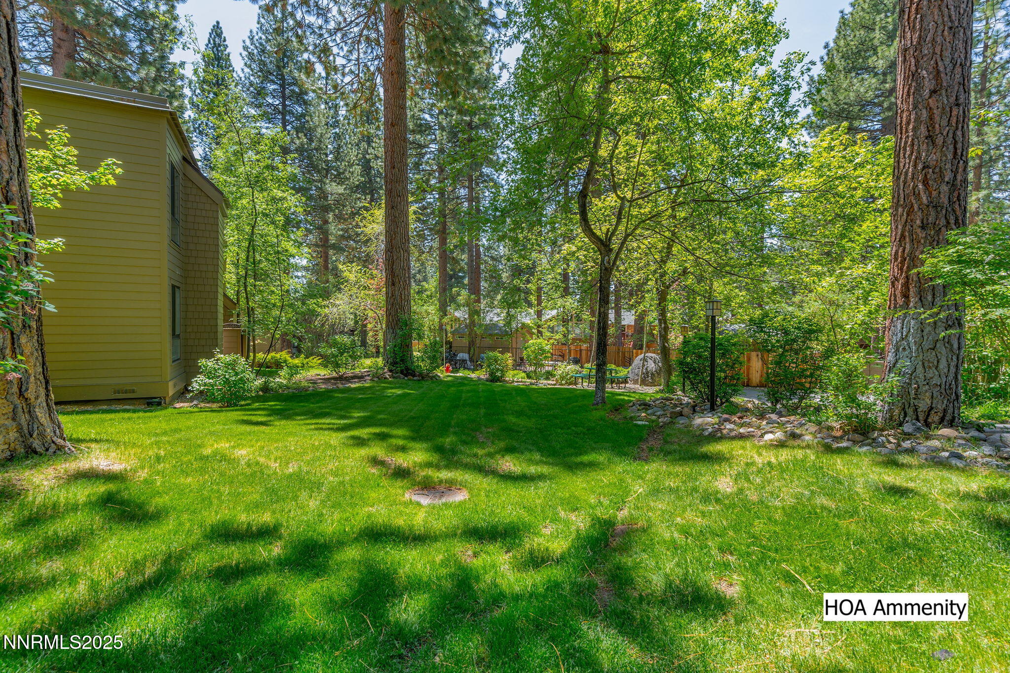 18-web-or-mls-18-print-A7409982