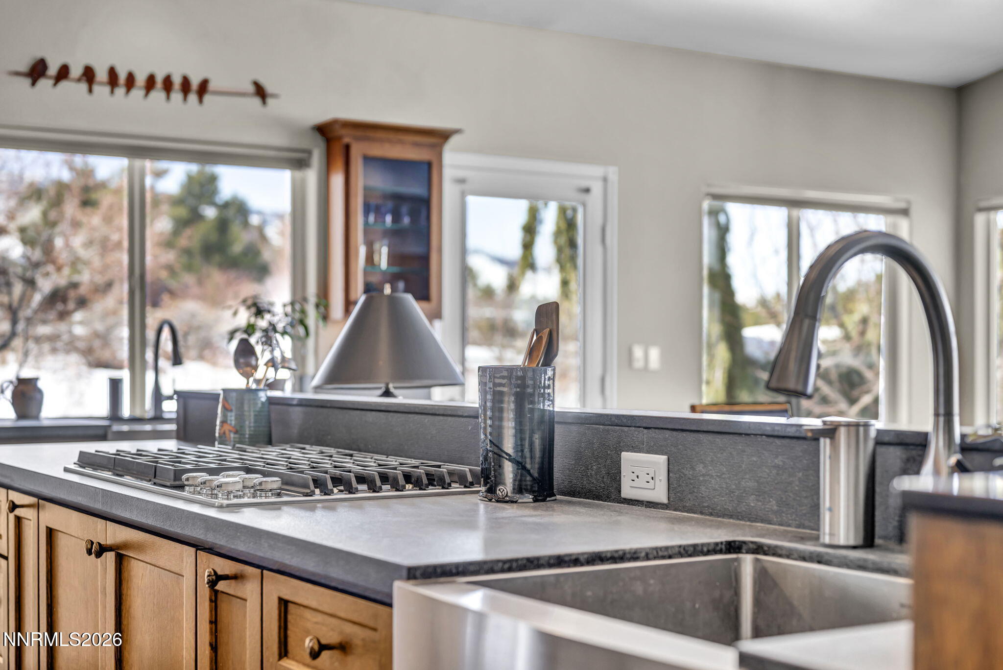 59-web-or-mls-14255-black-eagle-ct