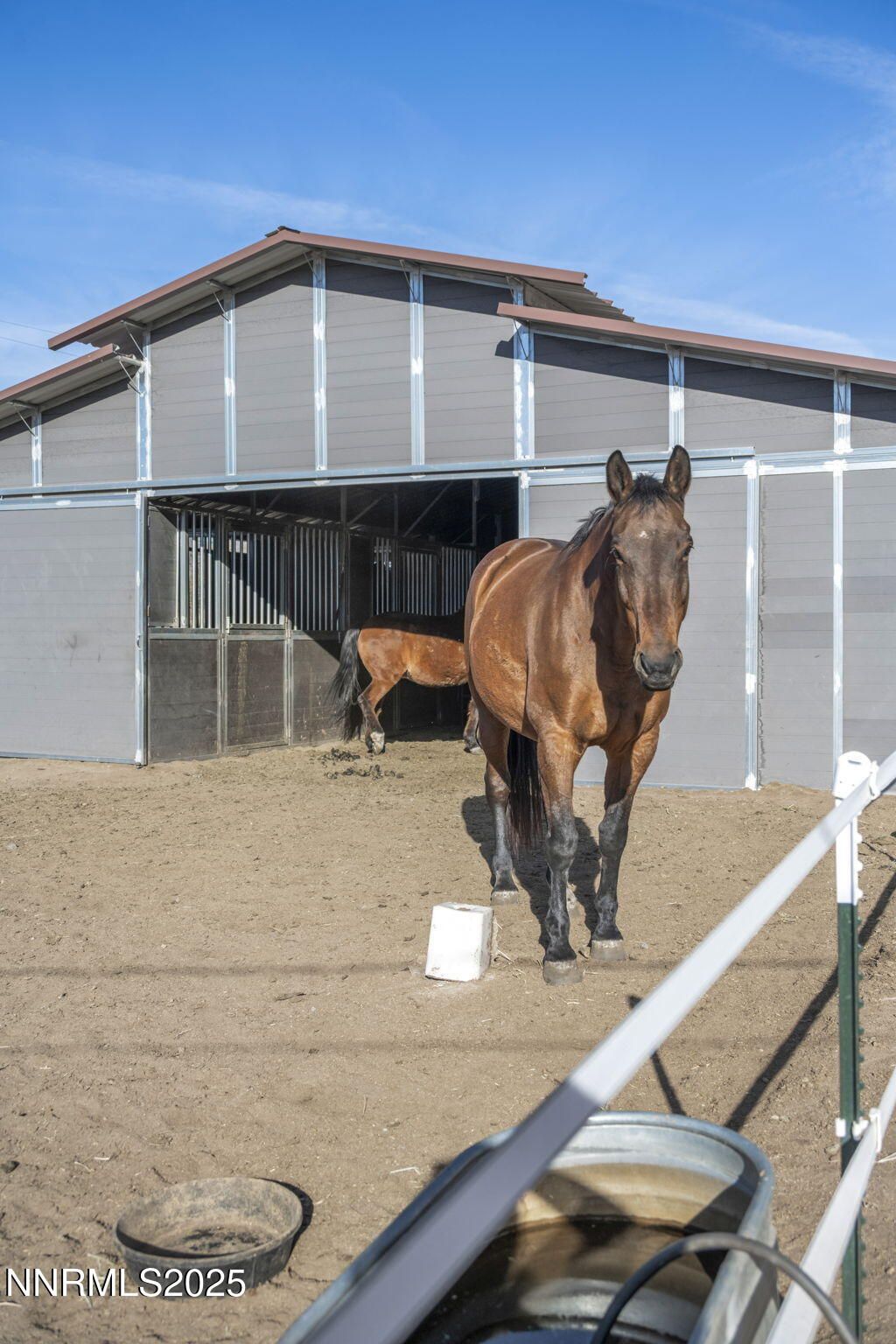 Photo of 2075 Buckskin Drive, Washoe Valley, NV 89704 (MLS # 260004640)
