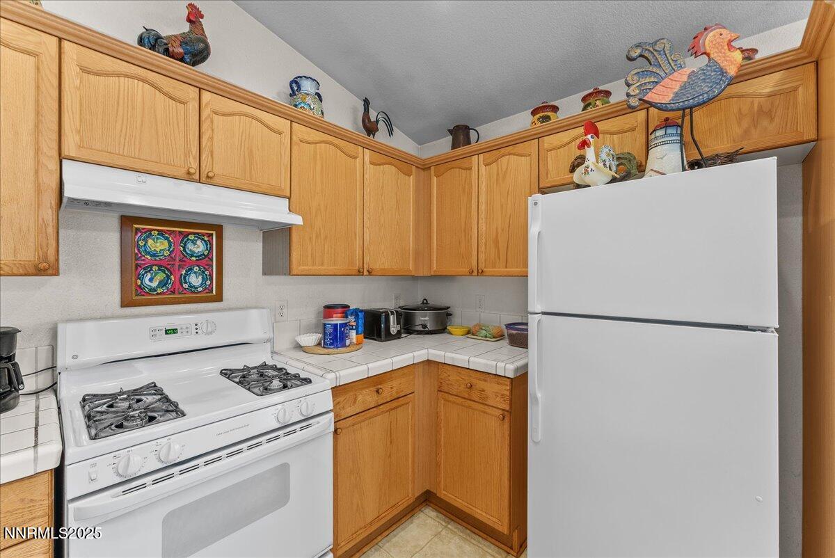 10-1885 San Lorenzo Drive Reno NV 89521