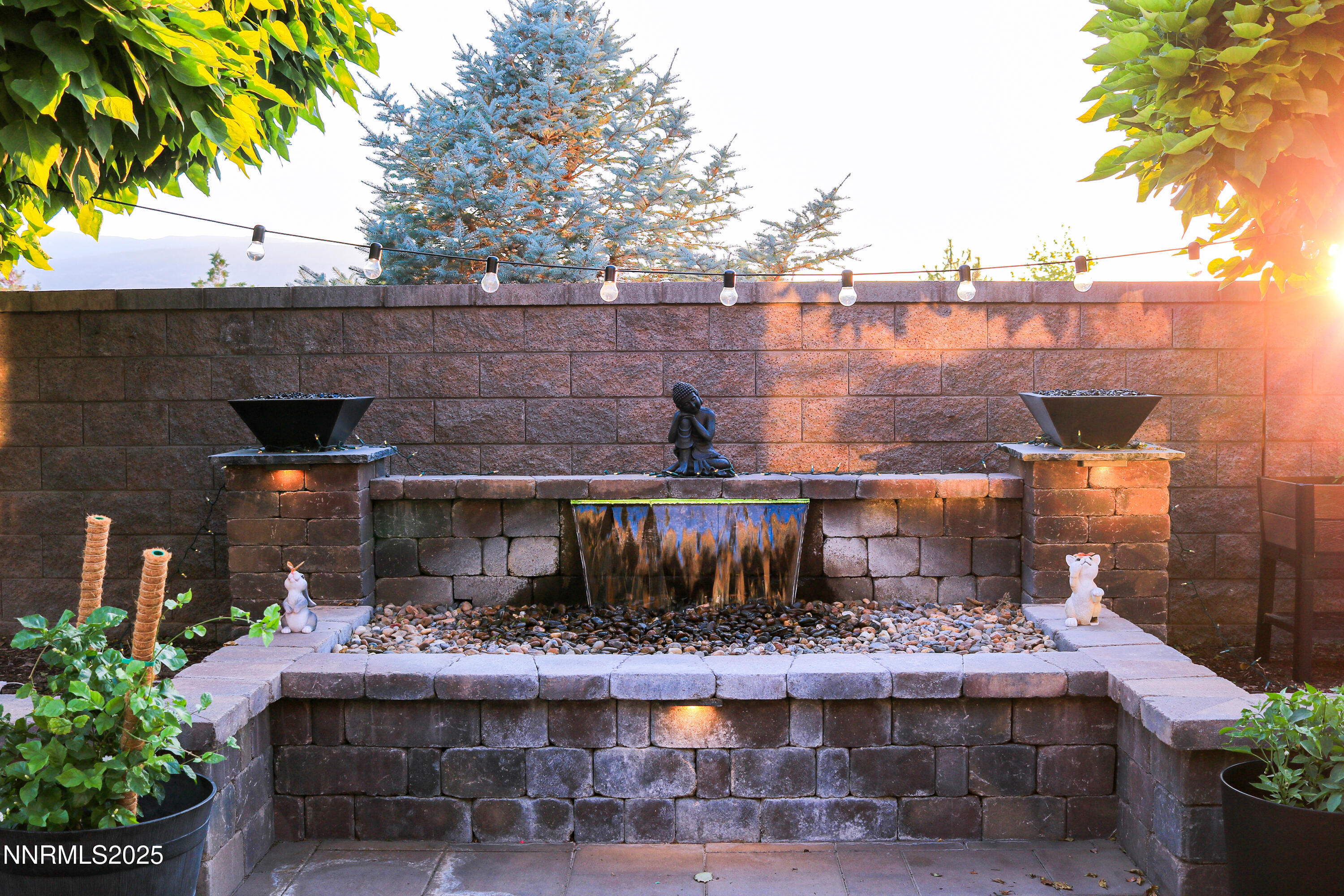 20250630-IMG_1728 copy