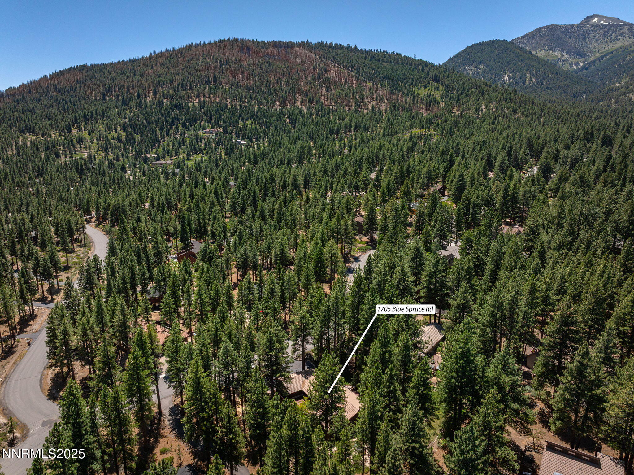 36-web-or-mls-DJI_20250709135352_0632_D