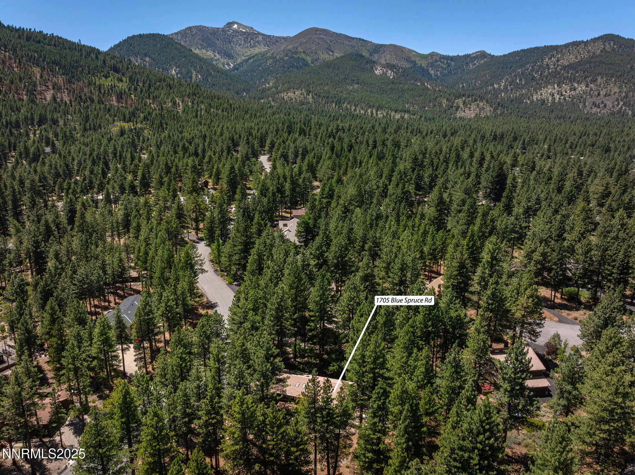 35-web-or-mls-DJI_20250709135321_0631_D