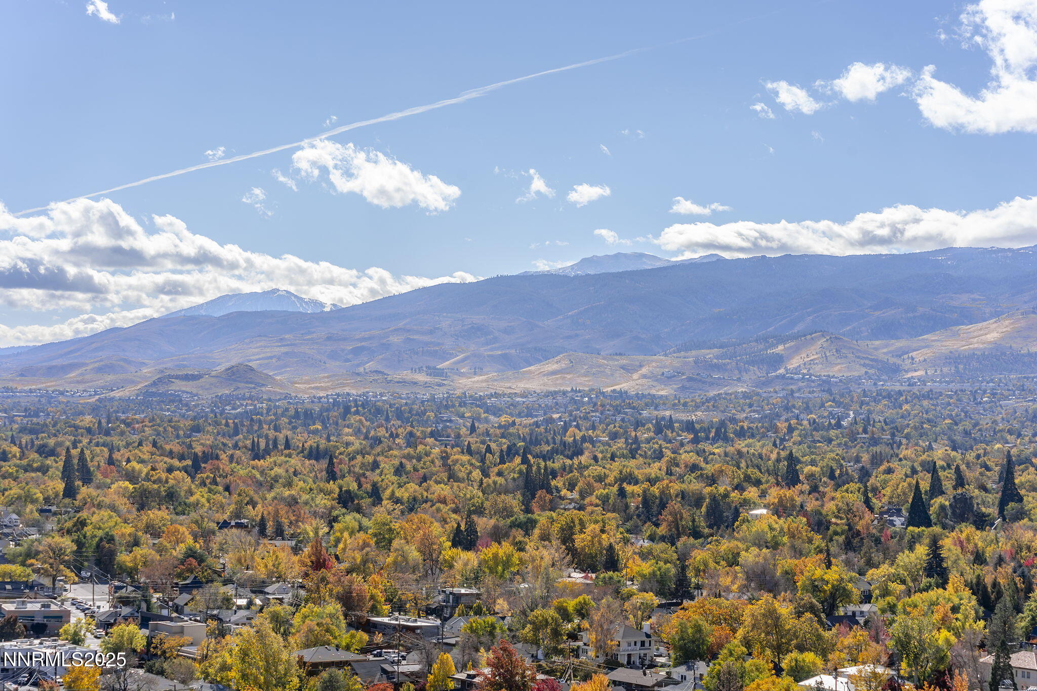 57-web-or-mls-6-print-_DSC0234