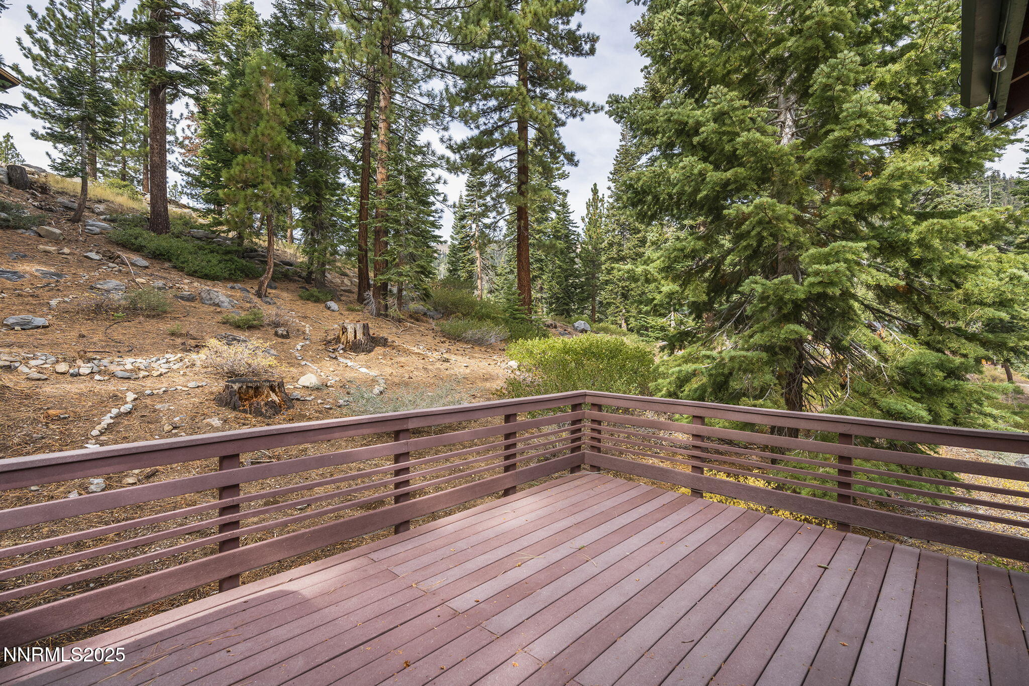 16-web-or-mls-_DSC2727