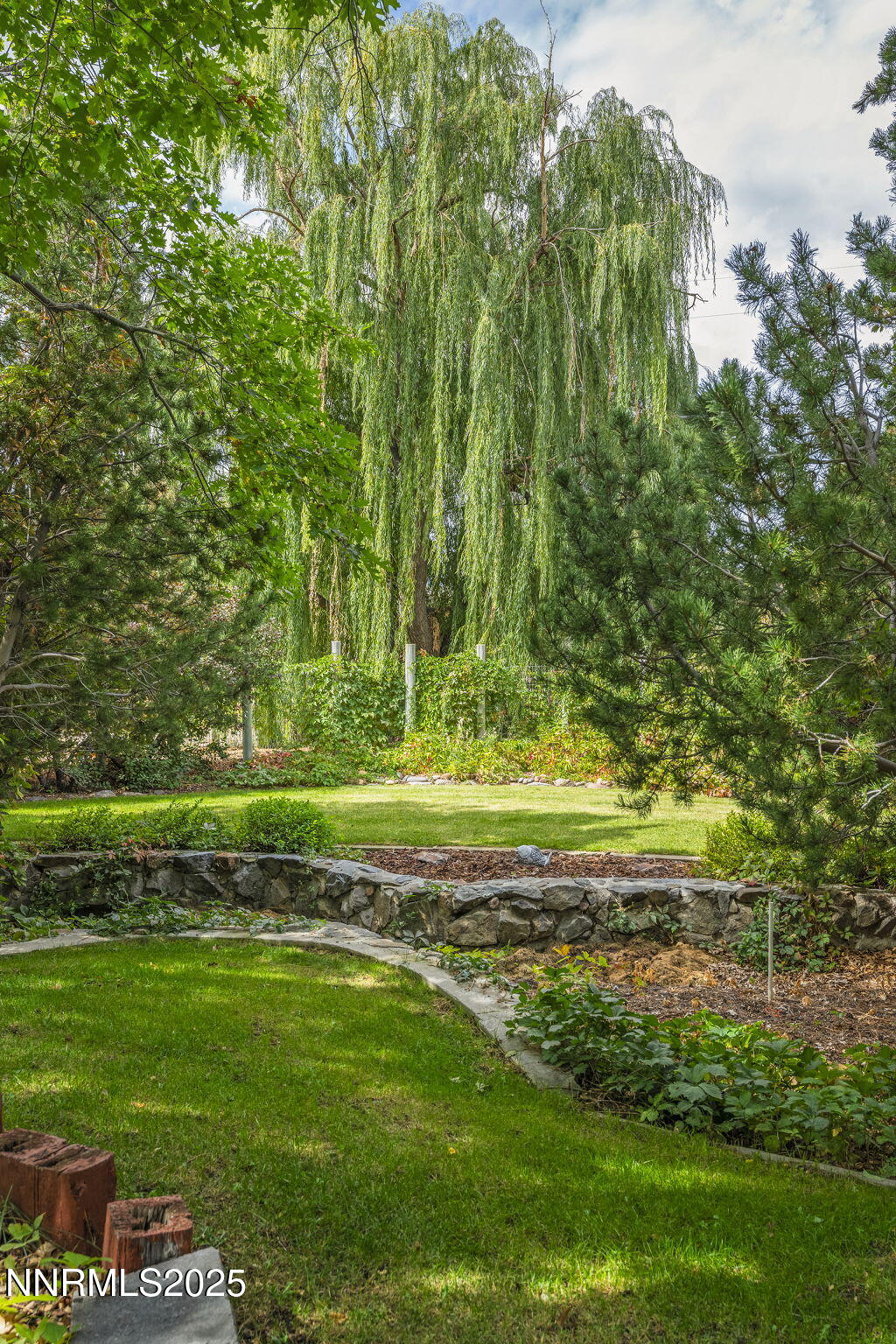 57-web-or-mls-_DSC6151