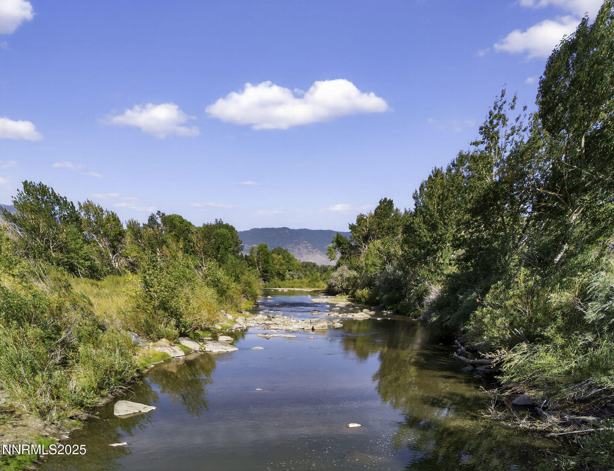 84-web-or-mls-1051 Riverview-76