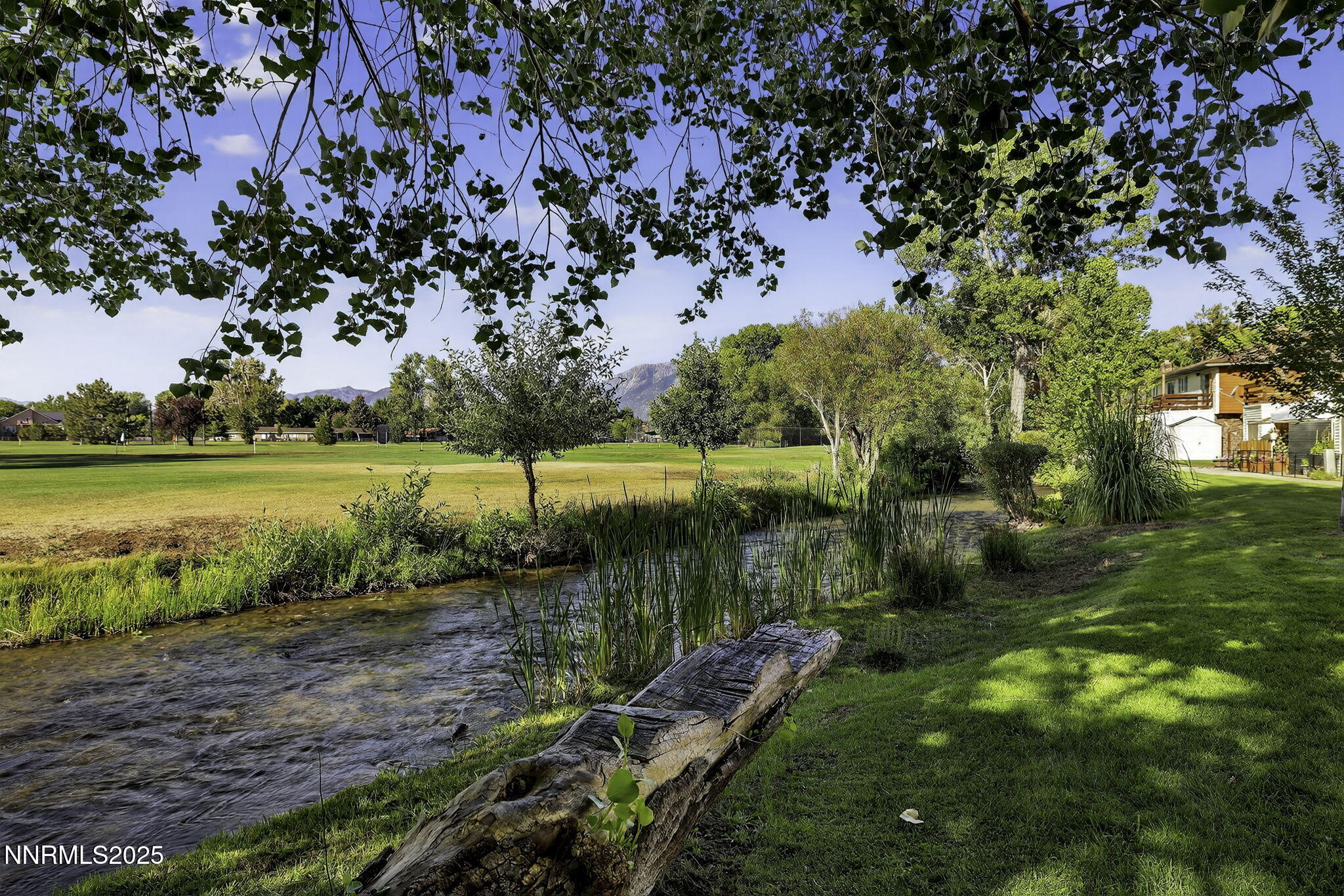 57-web-or-mls-1051 Riverview-49