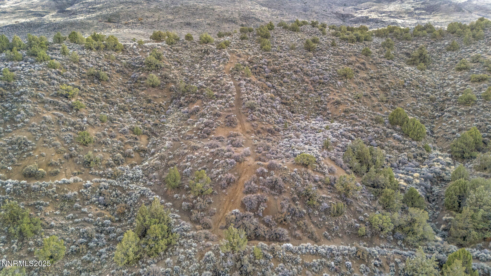 86-web-or-mls-woodchuck-cir