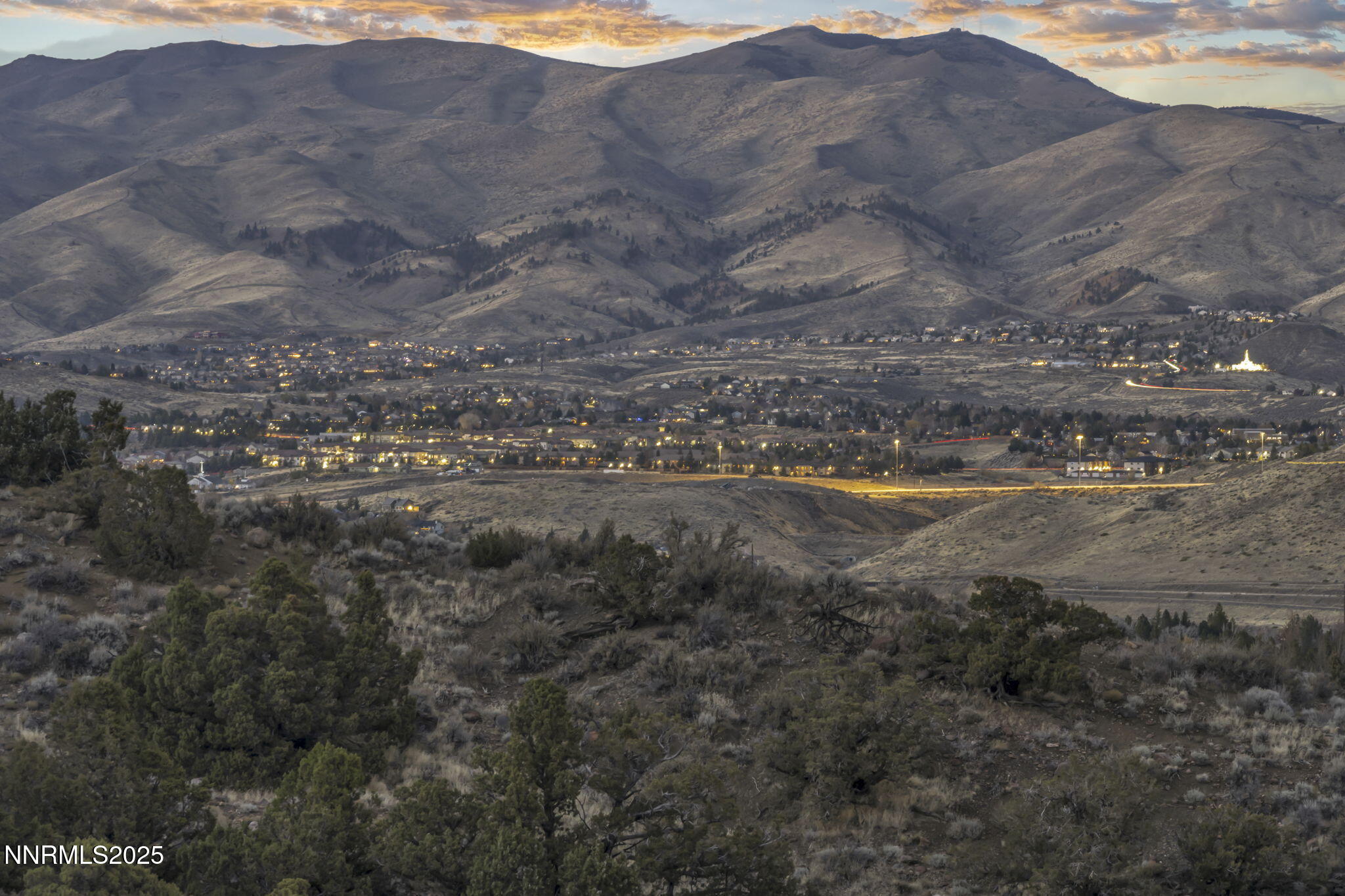 49-web-or-mls-woodchuck-cir