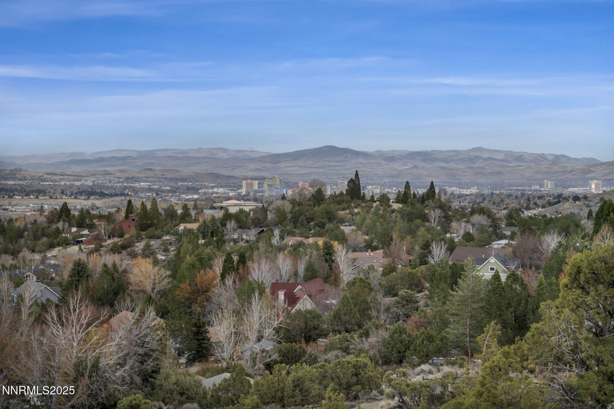 11-web-or-mls-woodchuck-cir