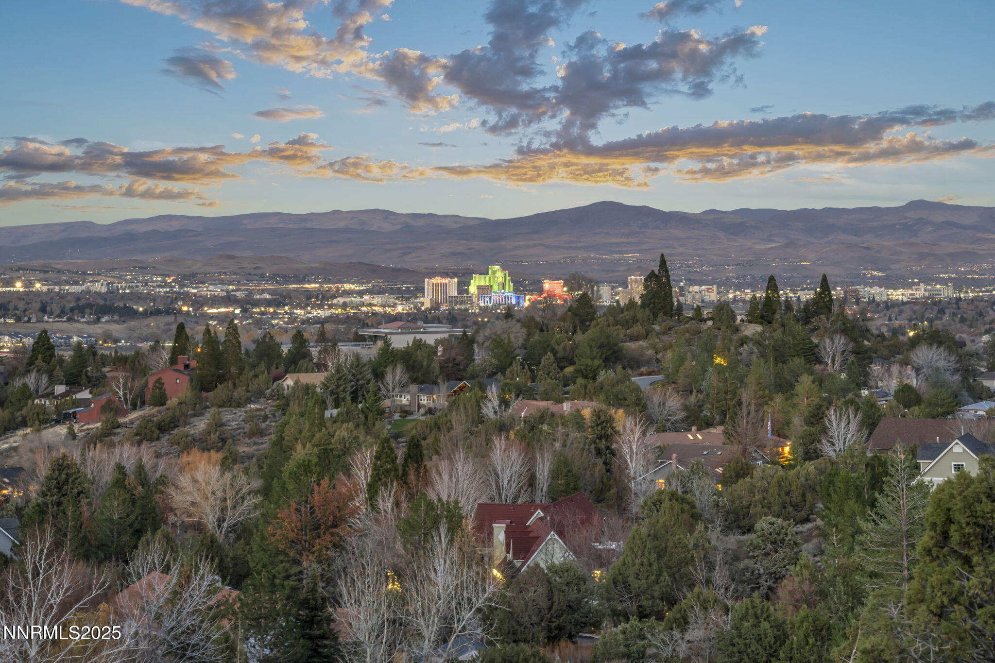 47-web-or-mls-woodchuck-cir