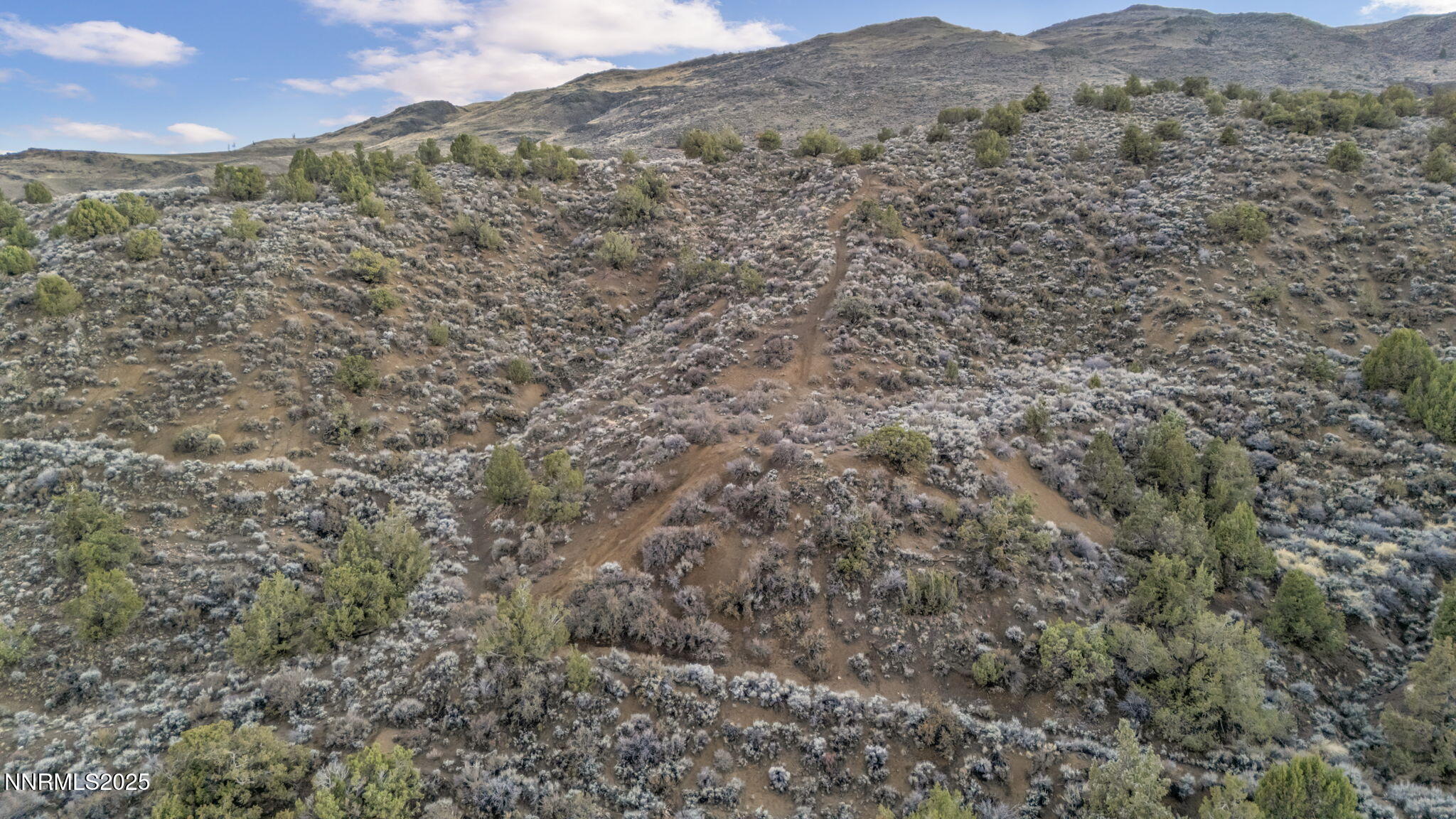 88-web-or-mls-woodchuck-cir