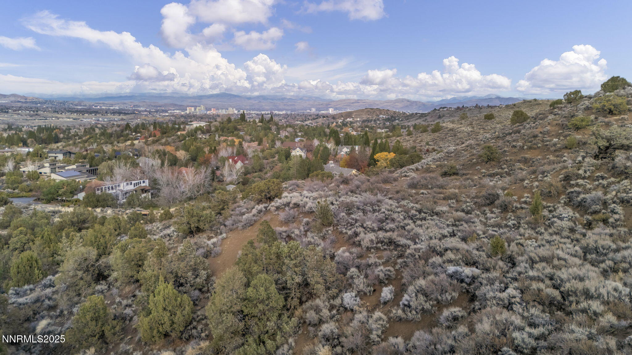 90-web-or-mls-woodchuck-cir