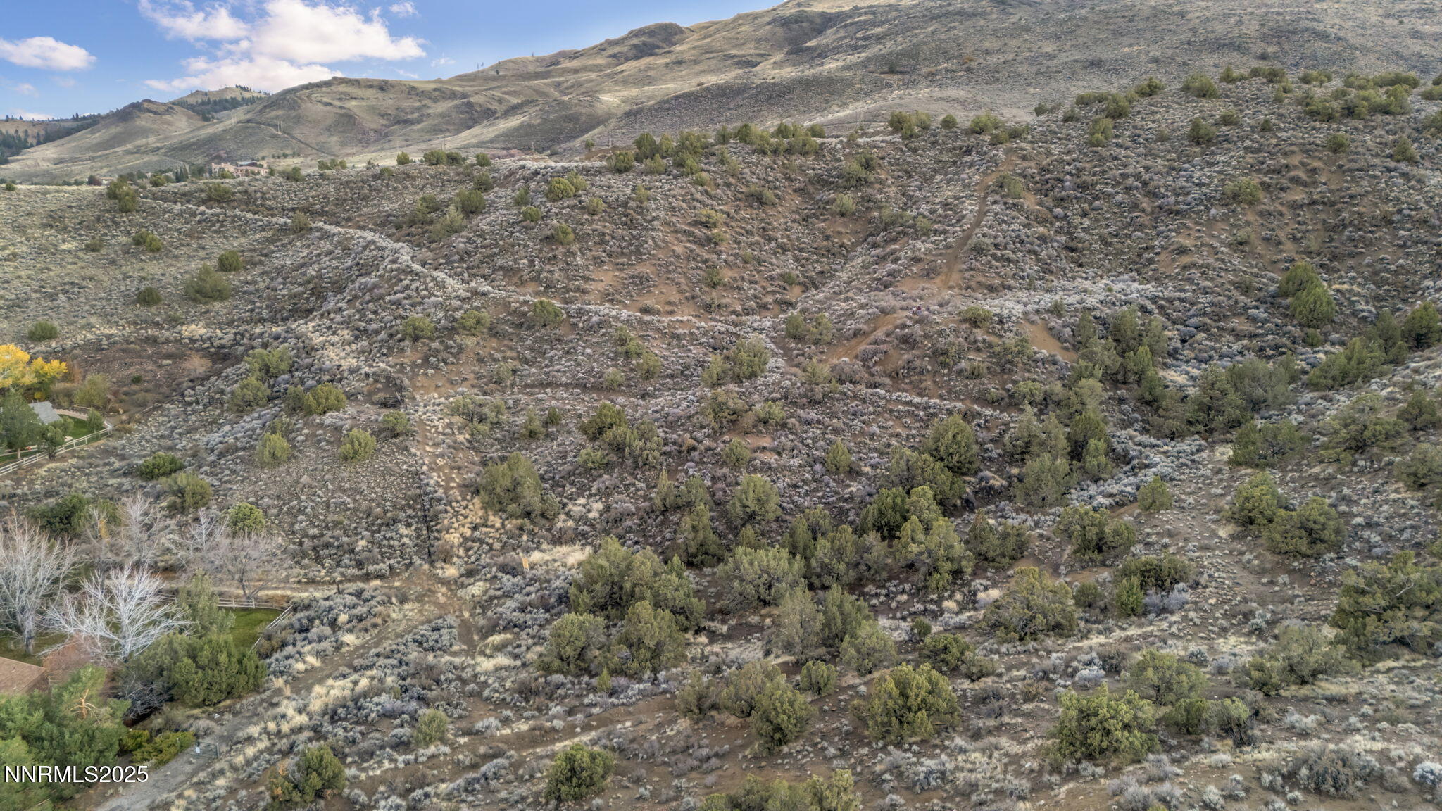 87-web-or-mls-woodchuck-cir