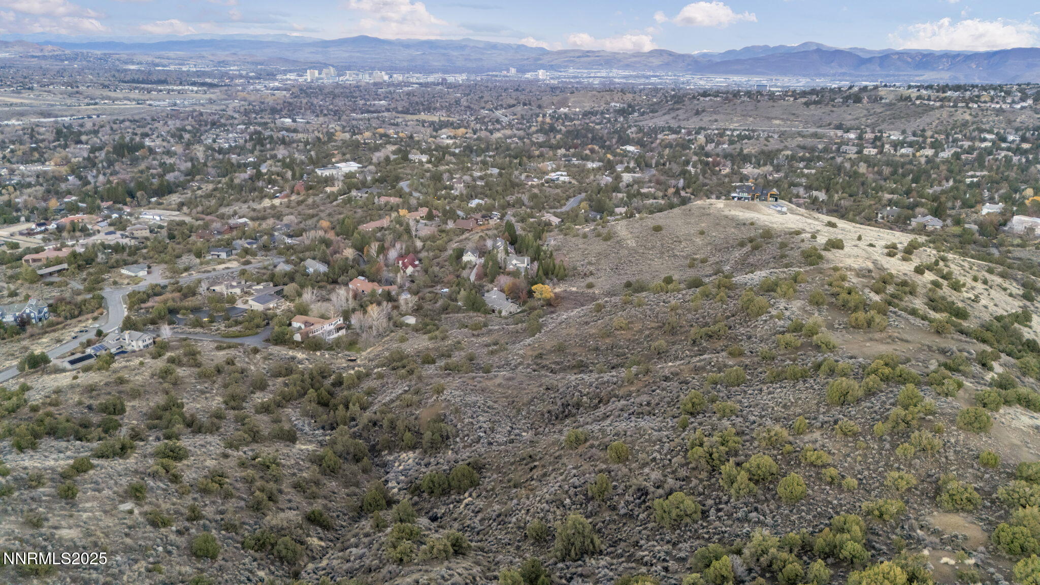 52-web-or-mls-woodchuck-cir