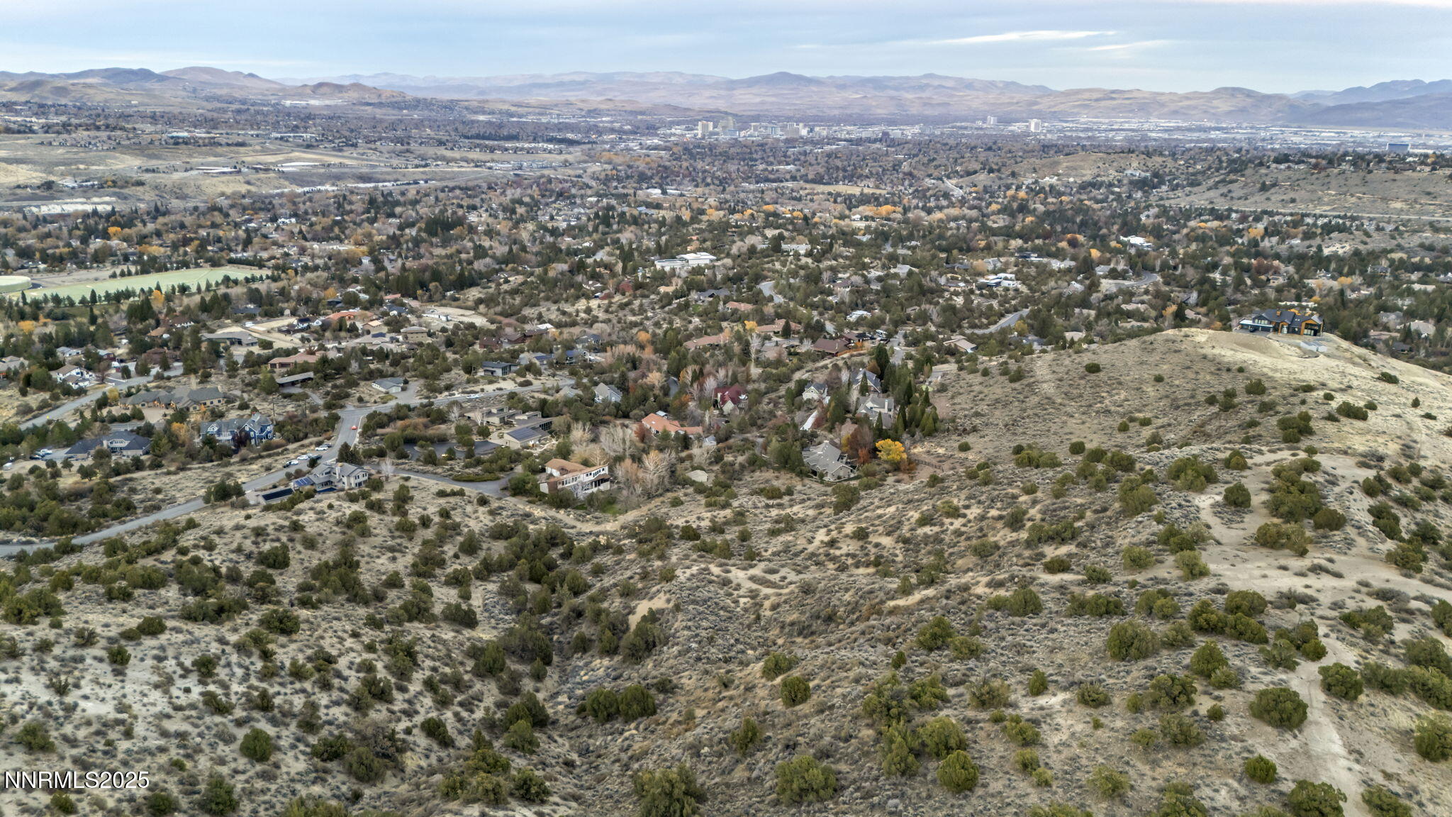 22-web-or-mls-woodchuck-cir