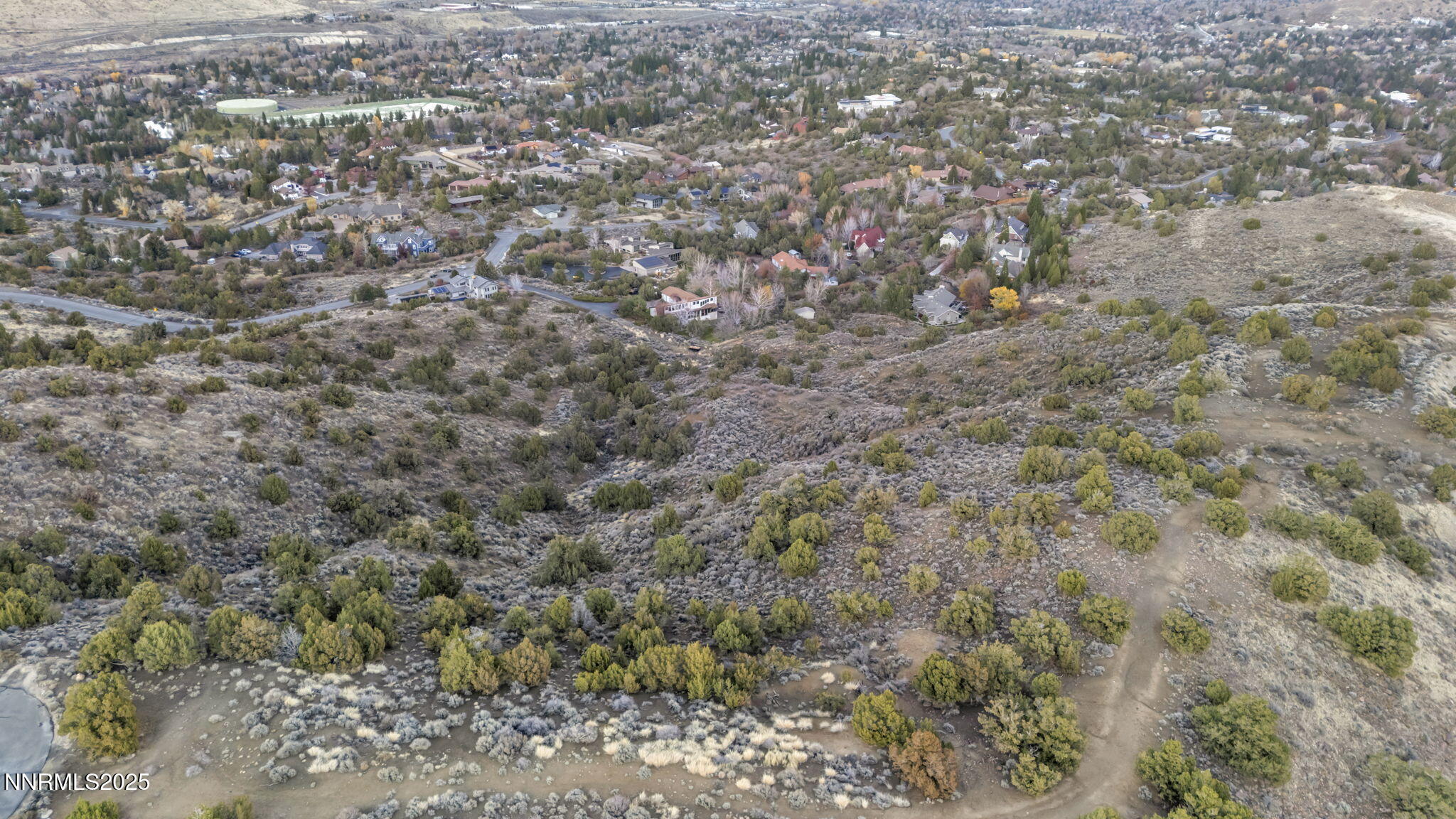 67-web-or-mls-woodchuck-cir