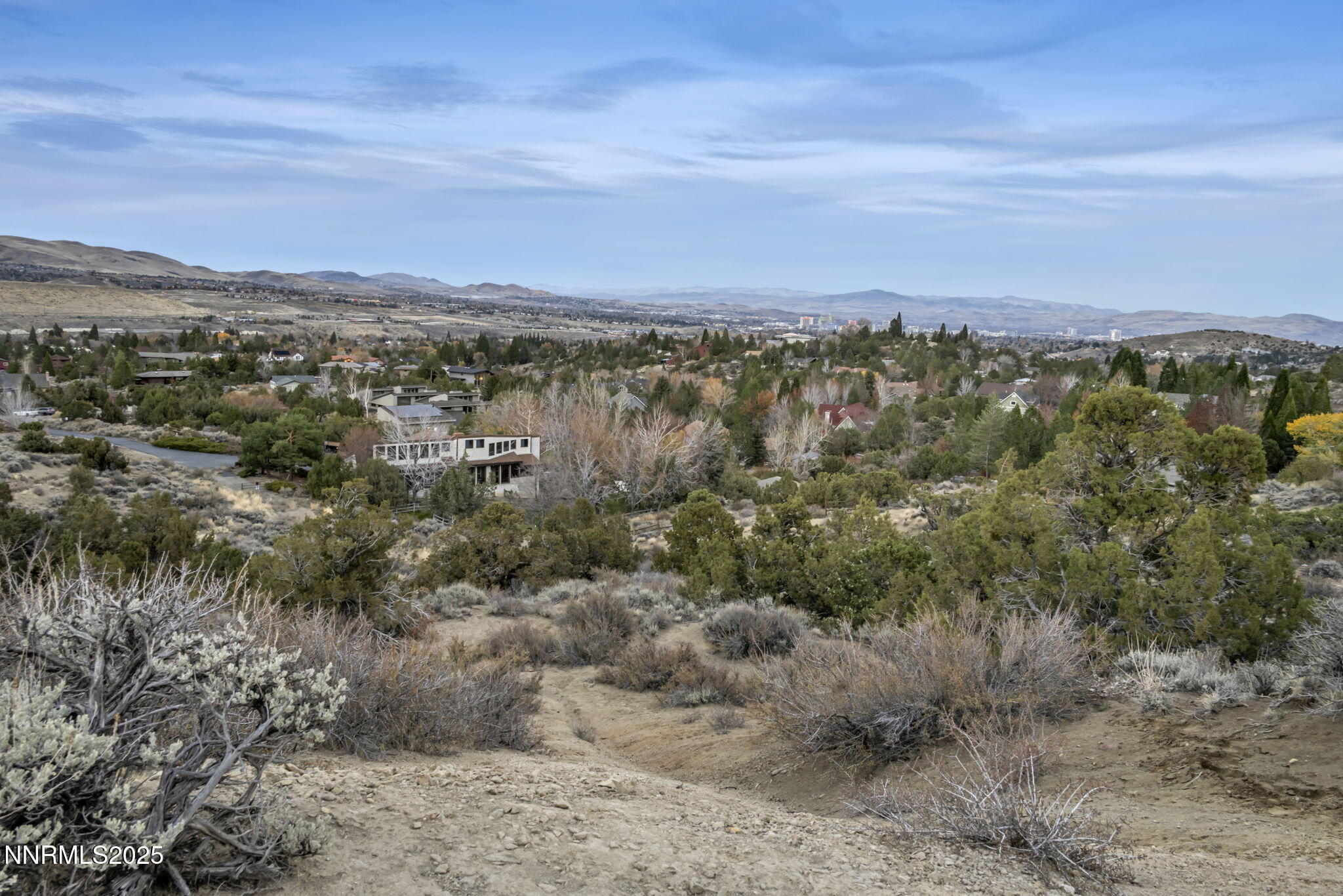 15-web-or-mls-woodchuck-cir