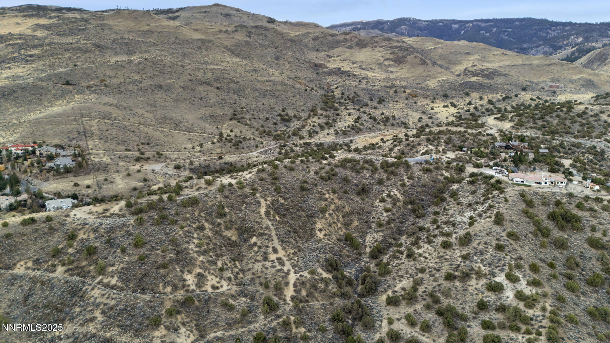 29-web-or-mls-woodchuck-cir