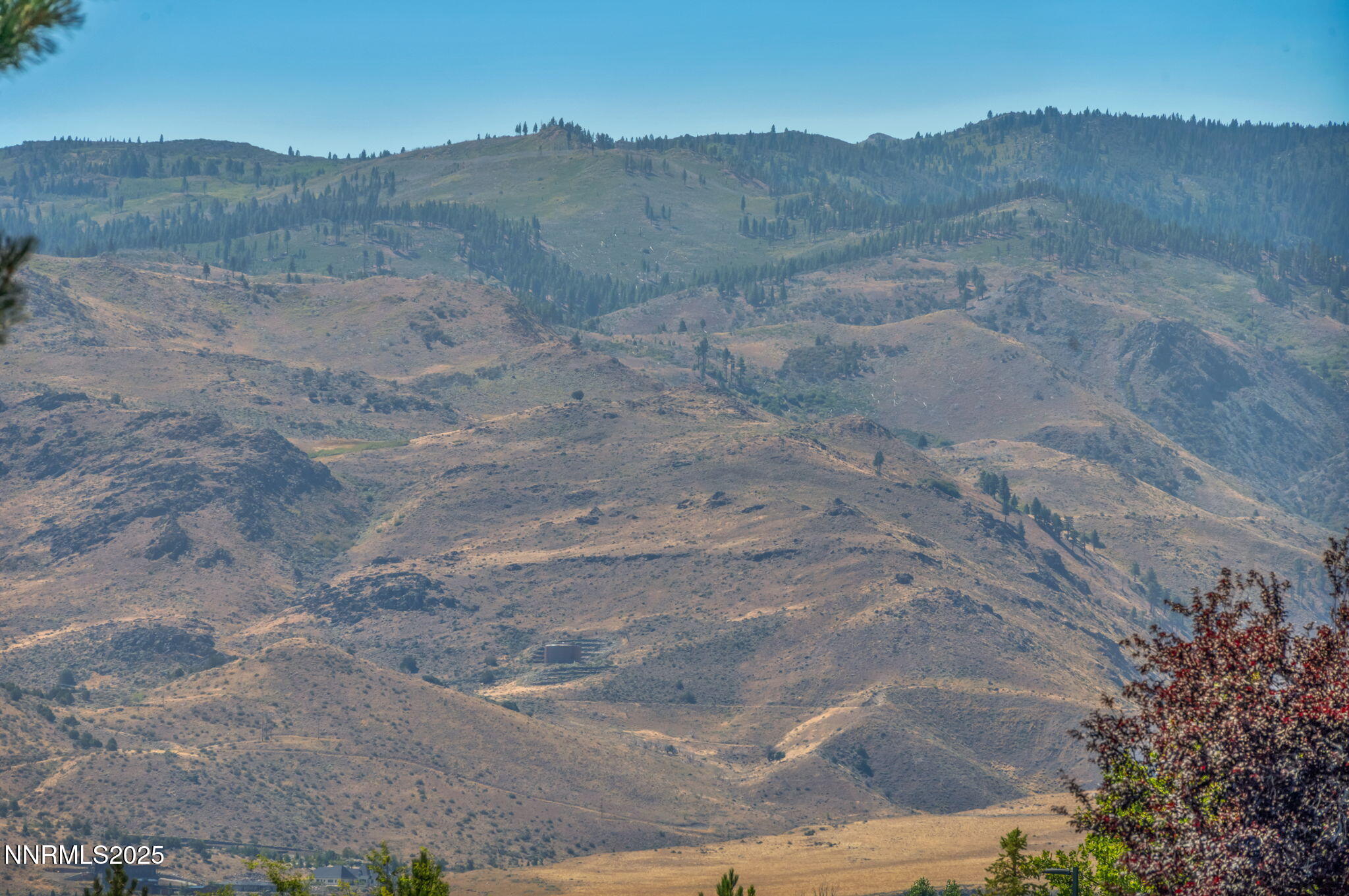 15-web-or-mls-1664-shadow-wood-rd