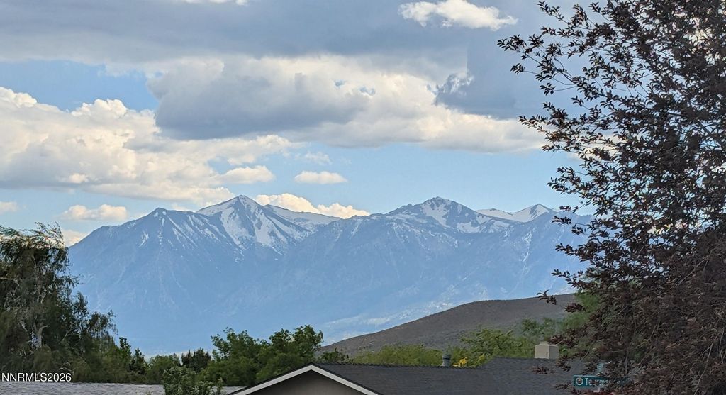 Photo of 3561 Opalite Court, Carson City, NV 89705 (MLS # 260006507)