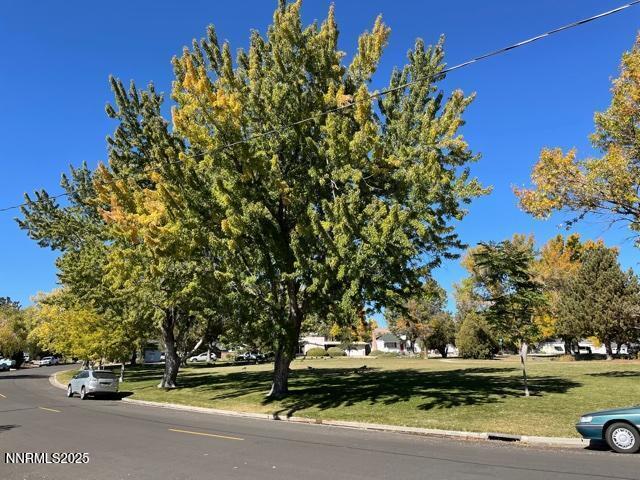 View of the park from the house - #2
