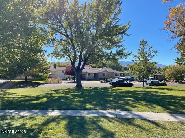 View of the house from the park