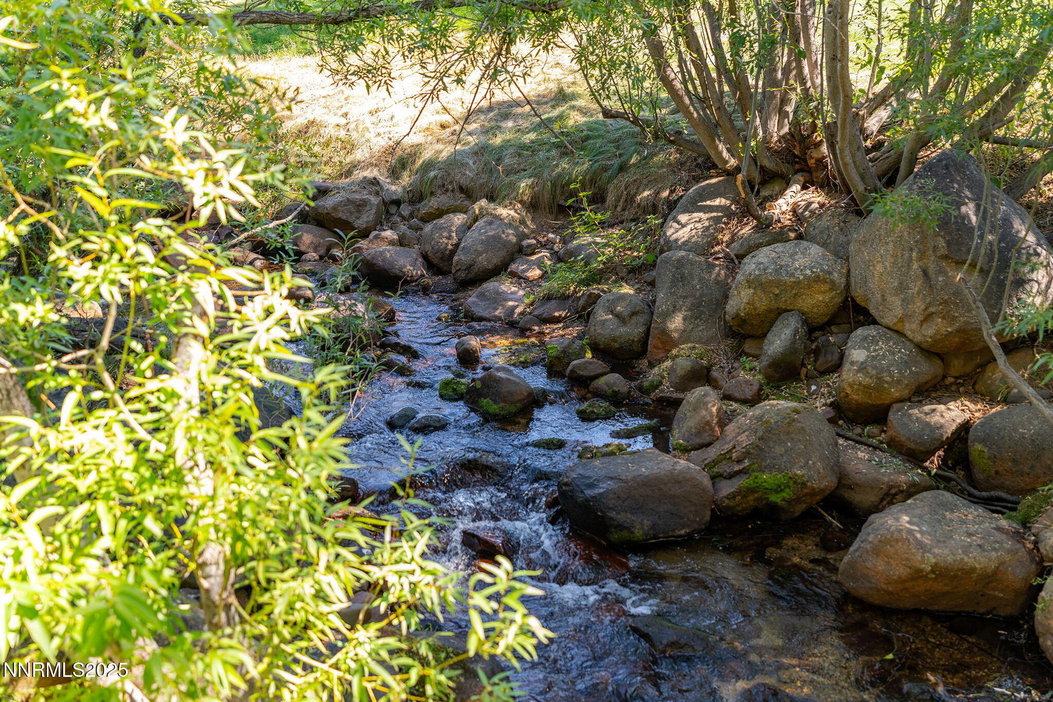 10-web-or-mls-_DSC7833