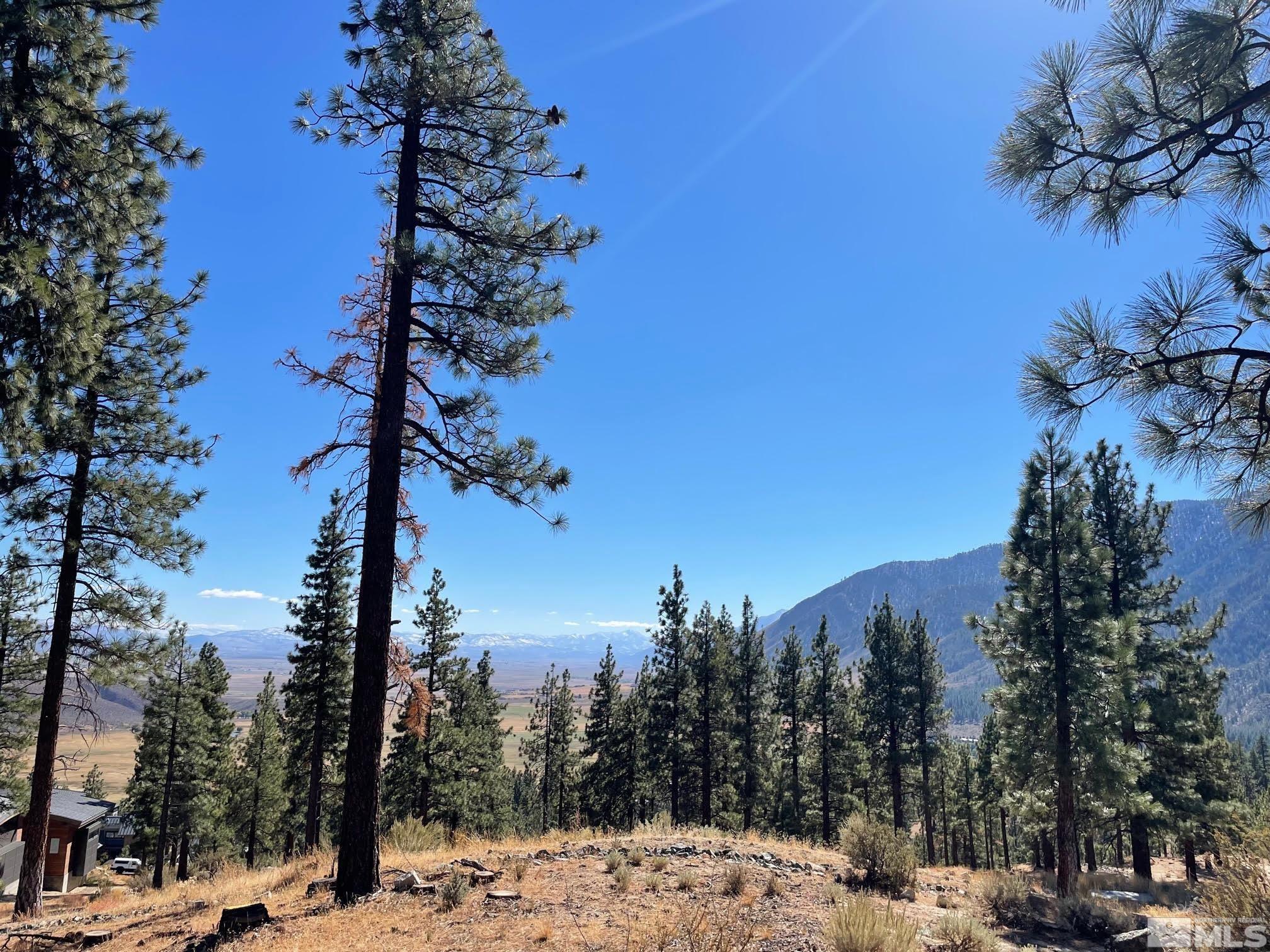 262 Swifts Station Drive