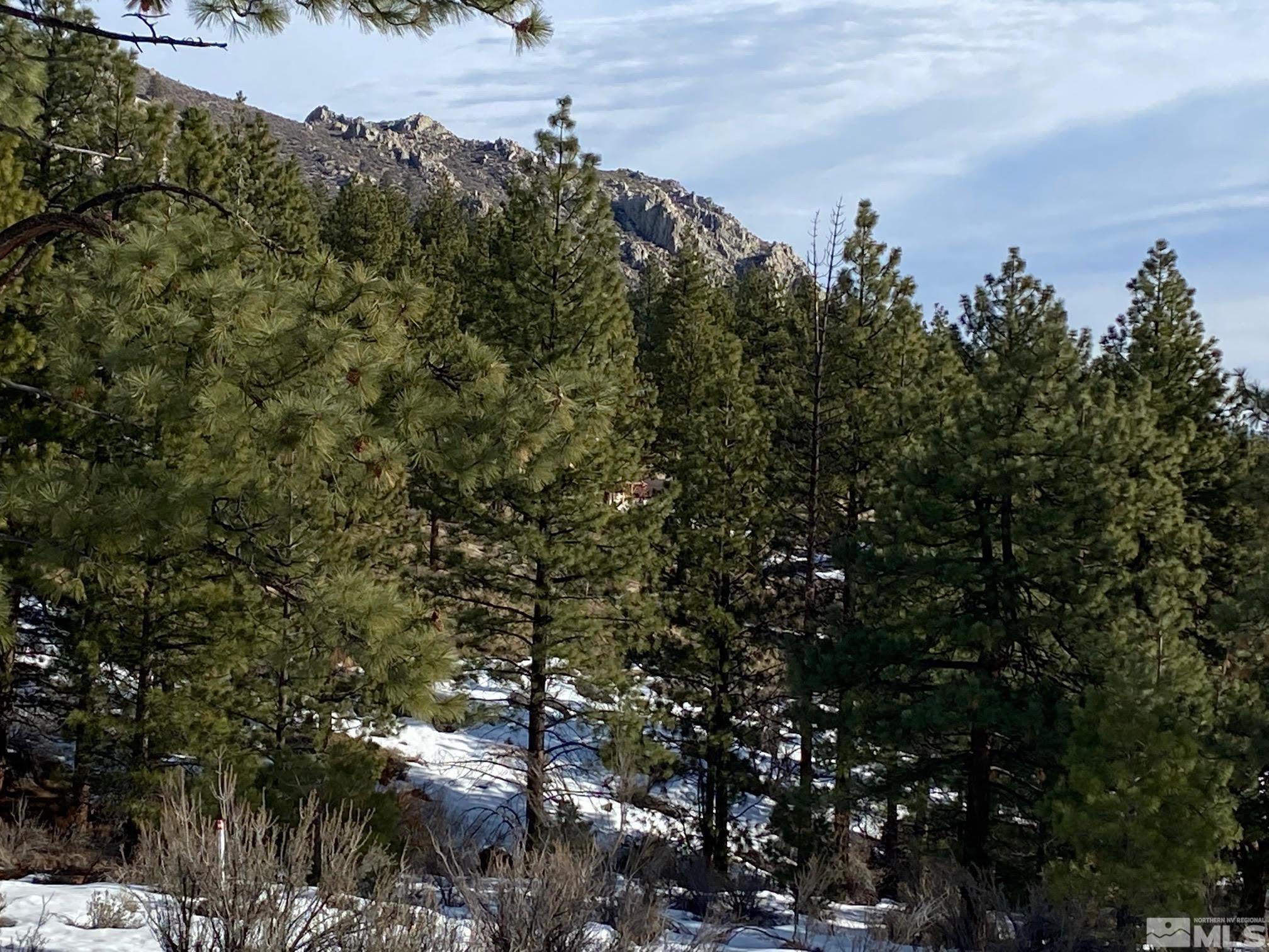 3521 Cutoff Trail 14