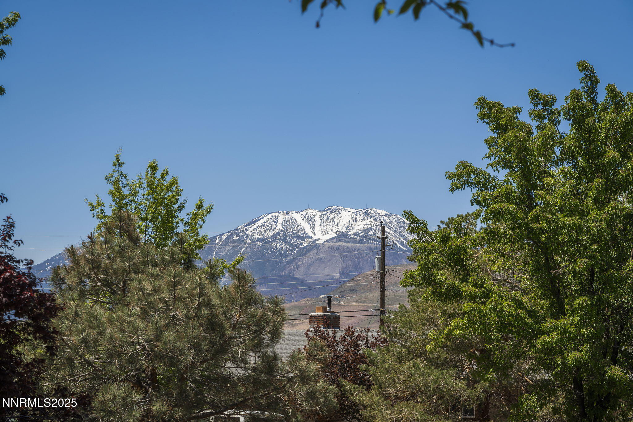 10-web-or-mls-_DSC0891