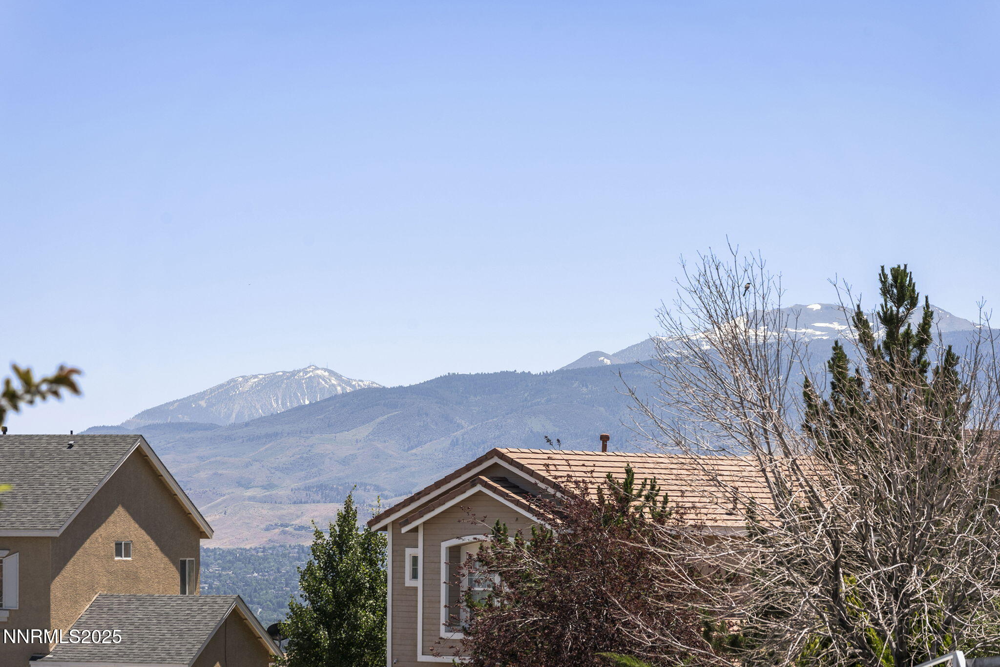 35-web-or-mls-_DSC1077