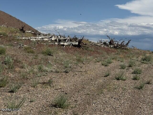 tbd Hwy 395 1