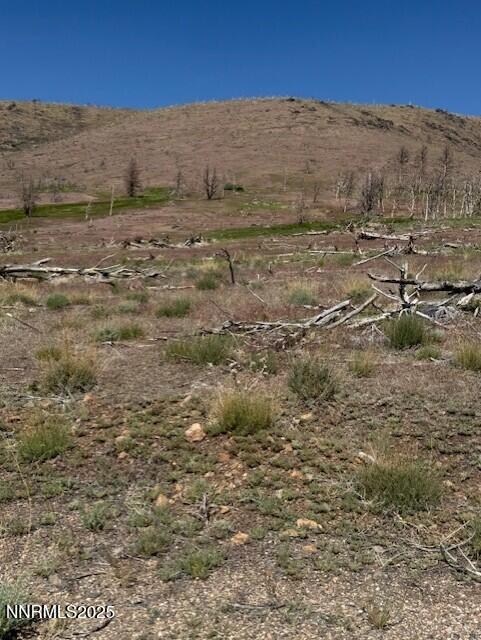 tbd Hwy 395 1