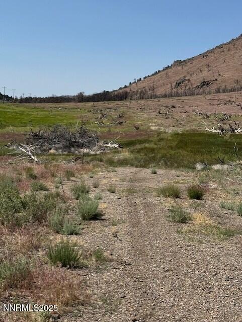 tbd Hwy 395 1