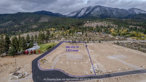 632 US Hwy 395 North 18 Washoe Valley NV 89704