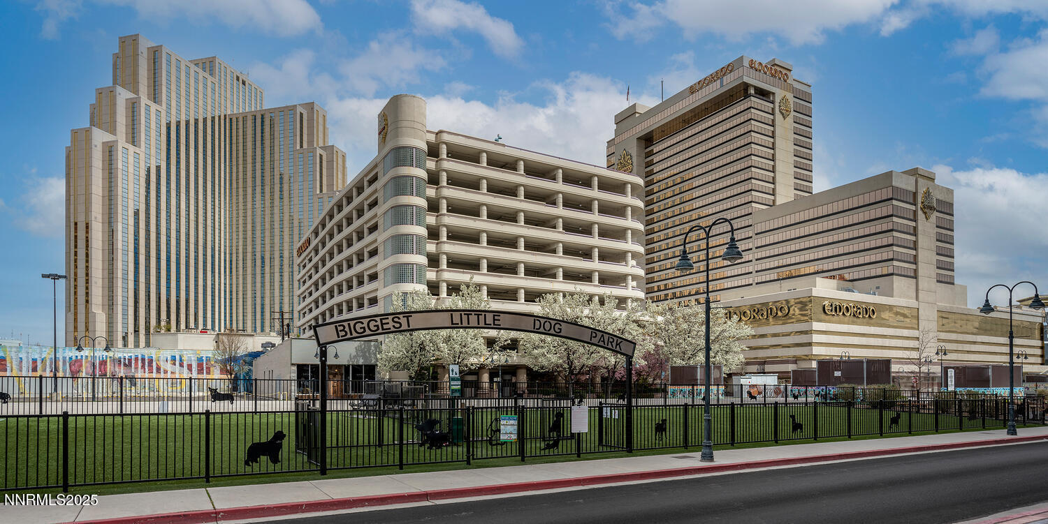 Biggest Little Dog Park