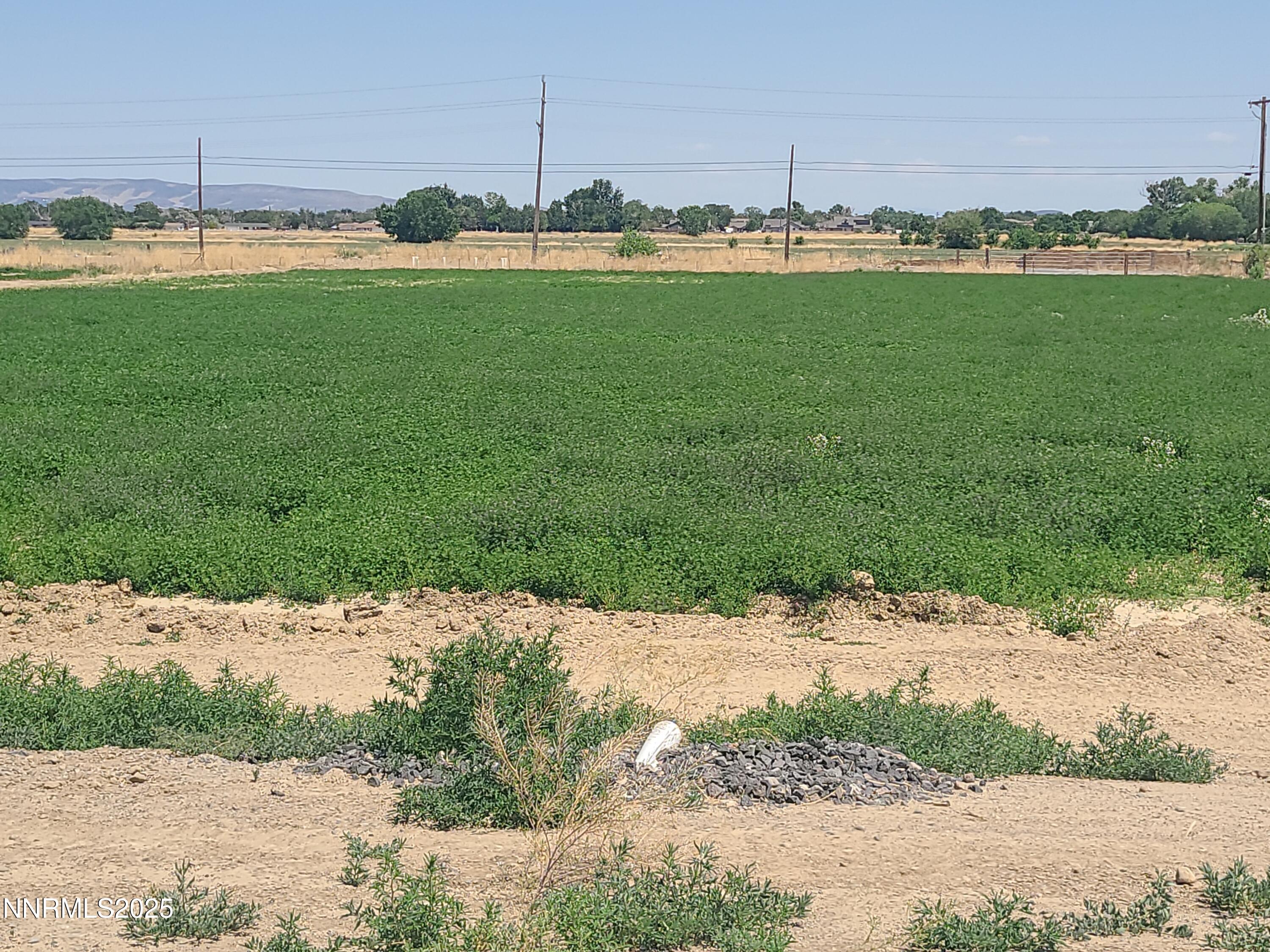 TOM FIELD UNDER PRODUCTION 25