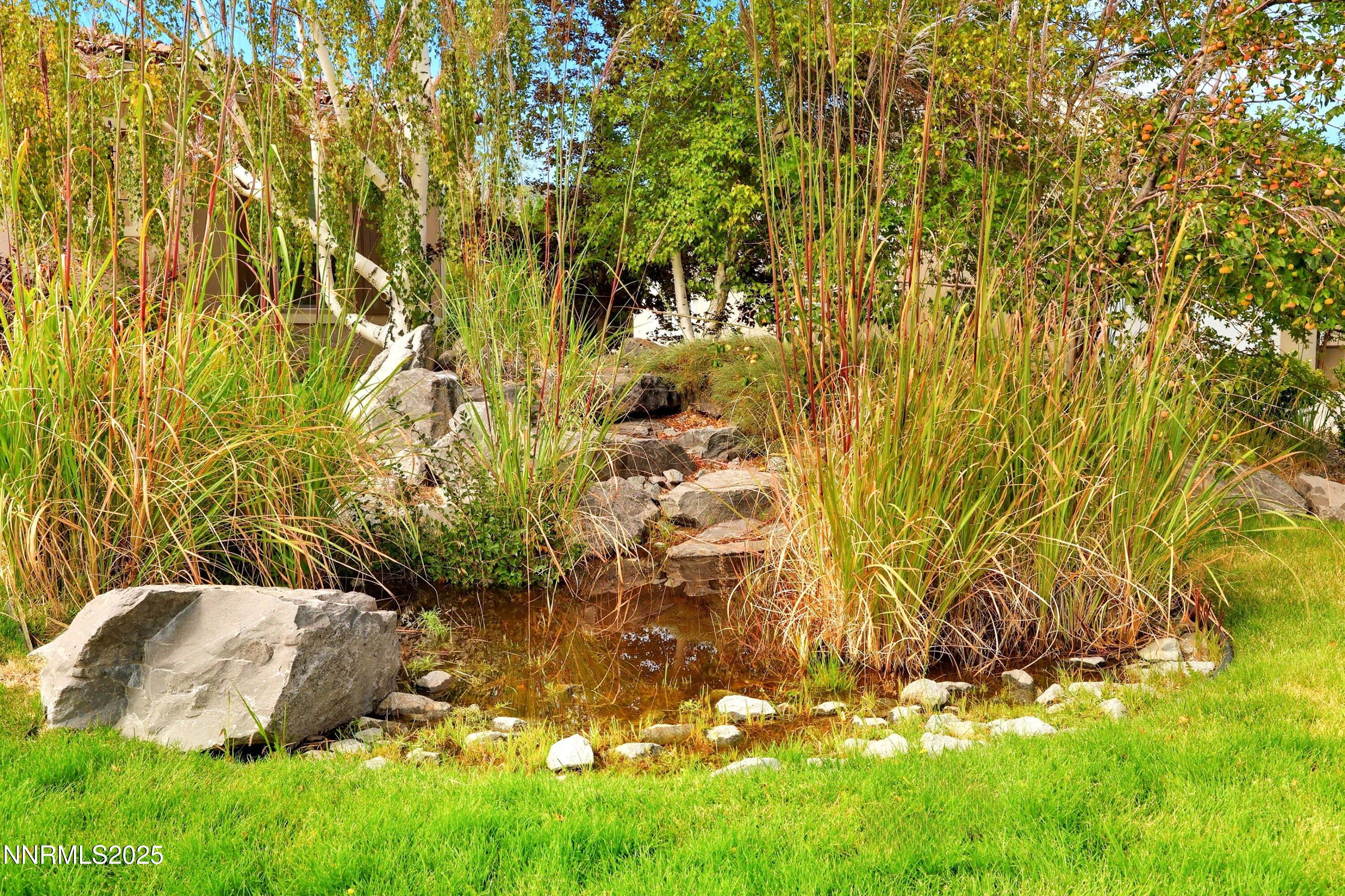 Front Pond