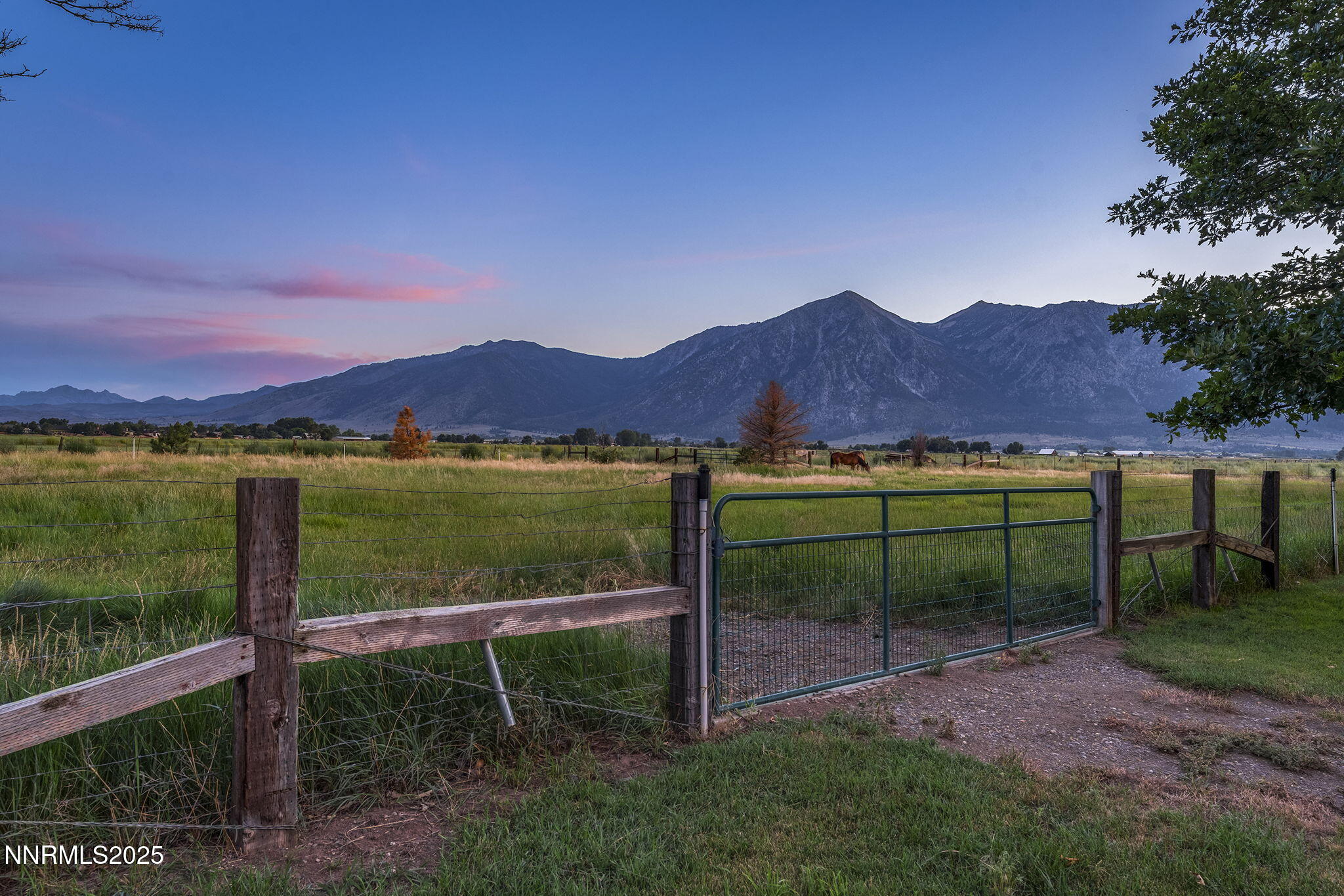 63-web-or-mls-_DSC2488