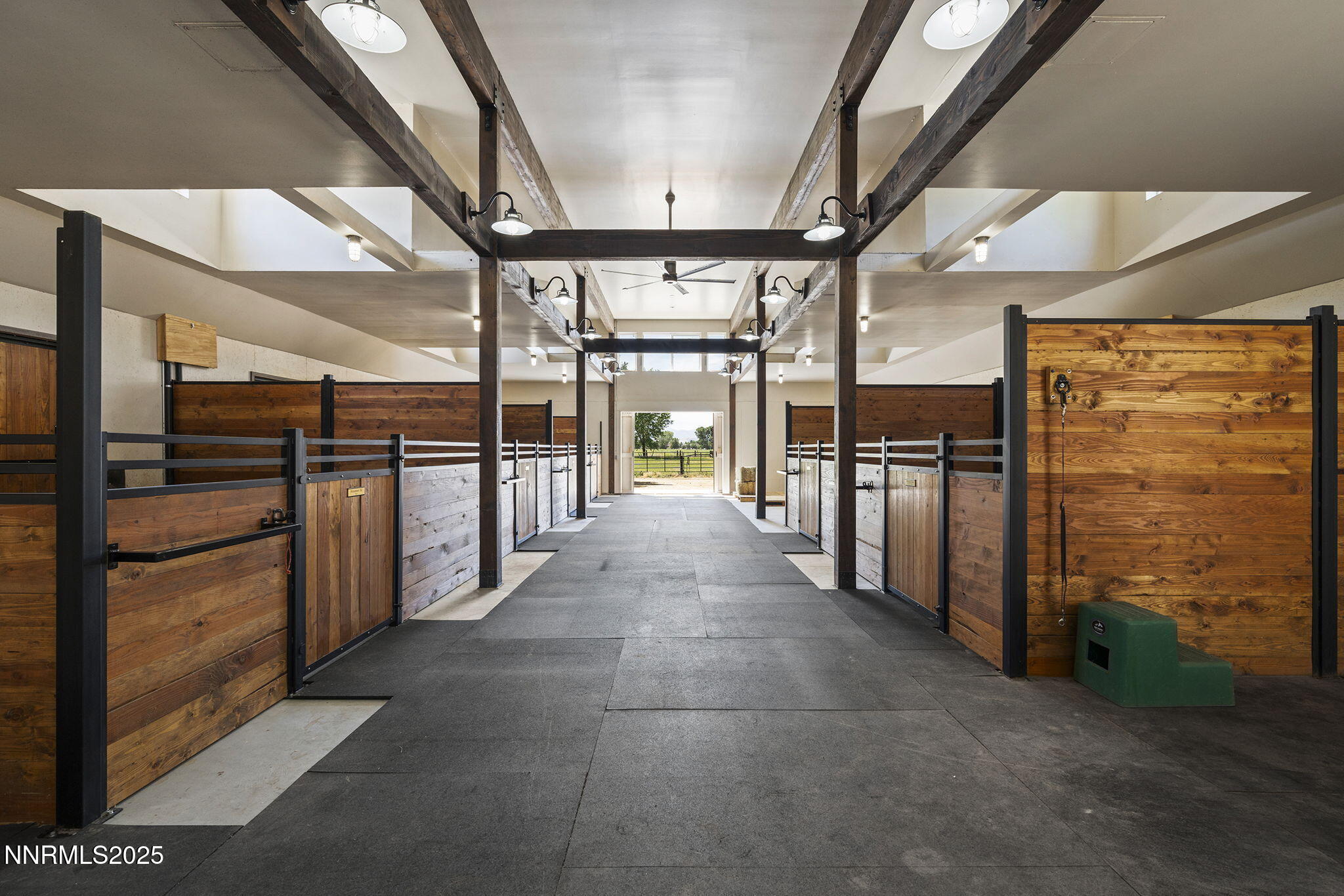 50-web-or-mls-_DSC2356